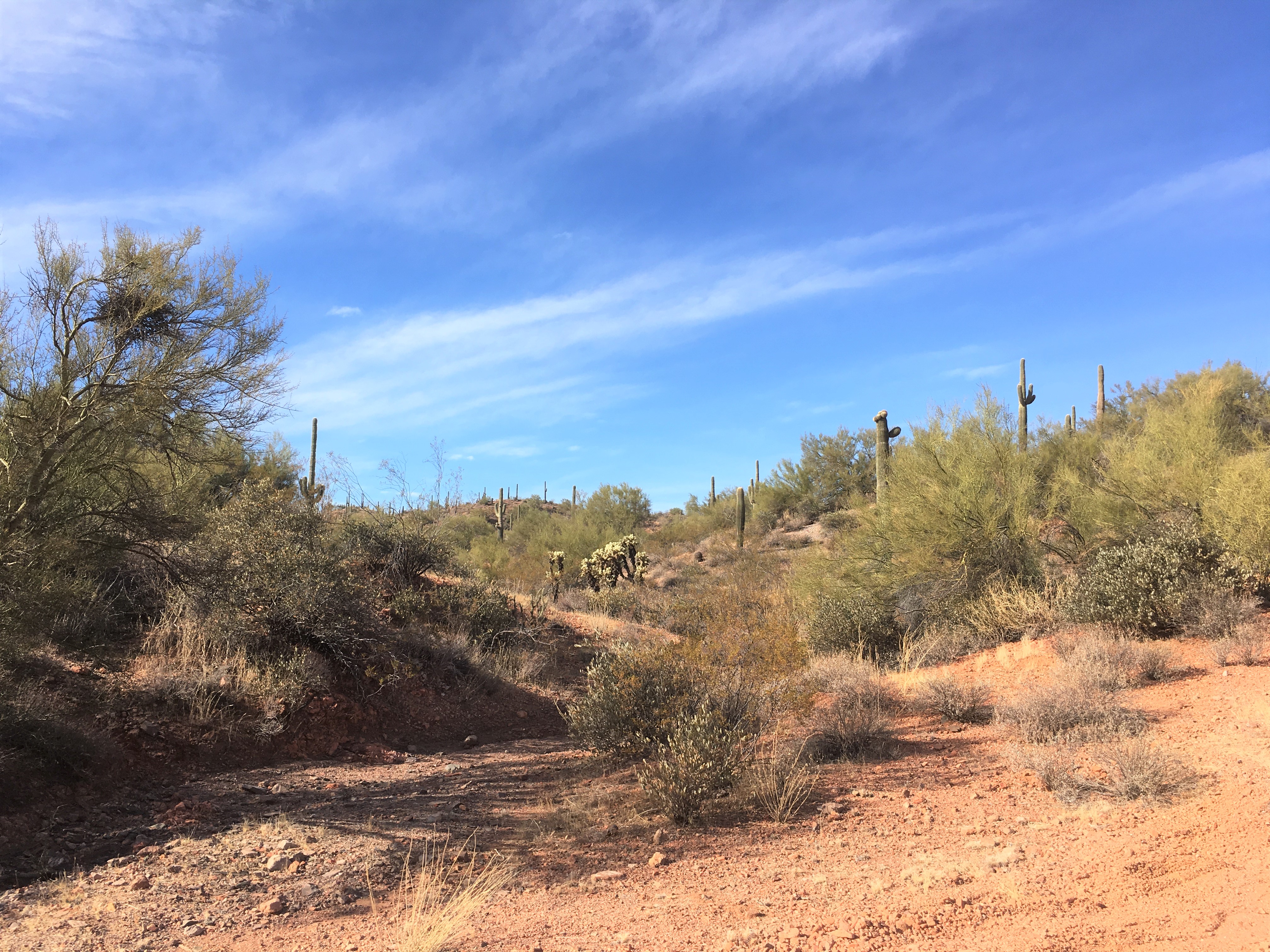 Member content 1 of 41