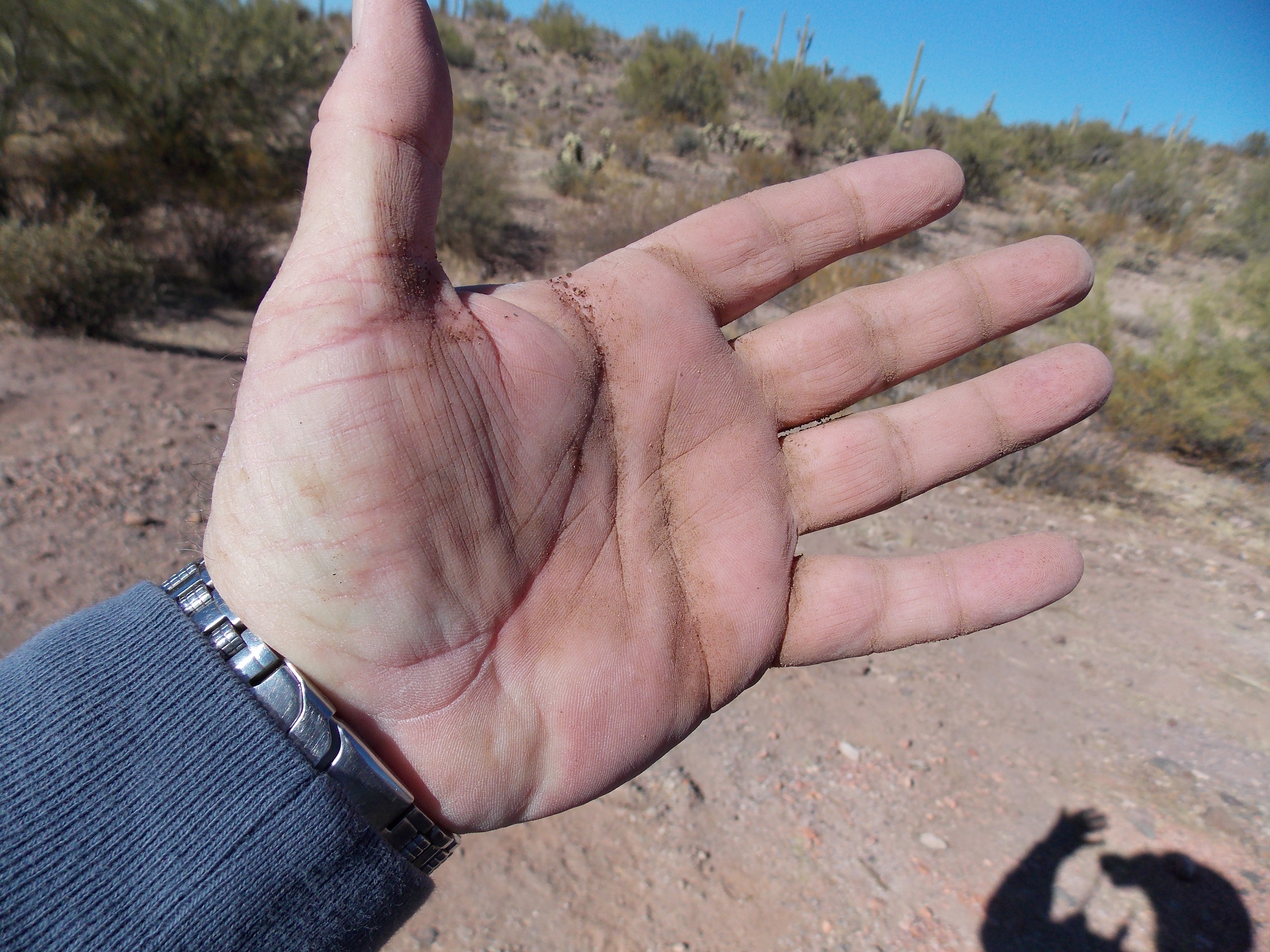 Member content 2 of 41