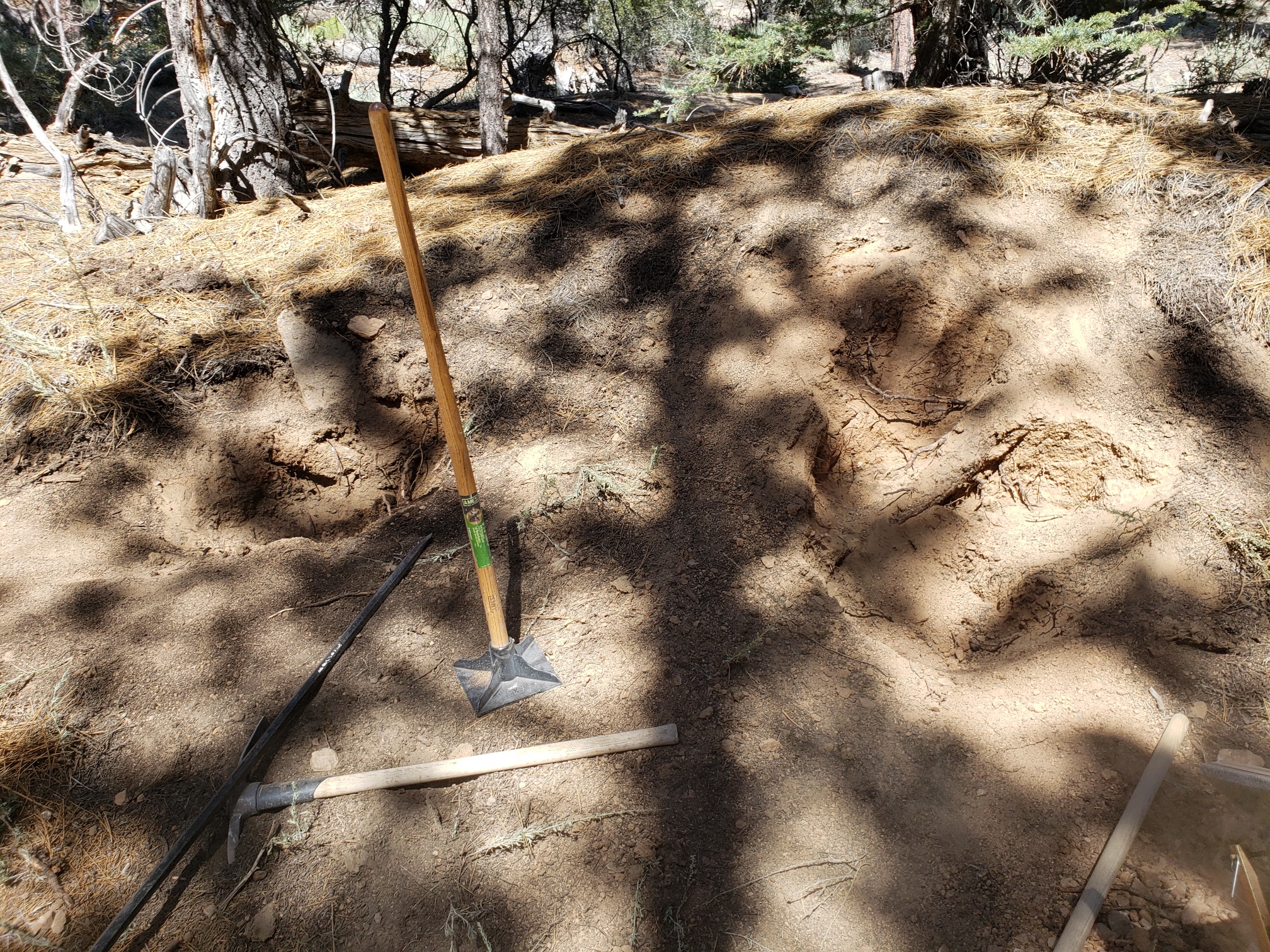 Member content 17 of 24