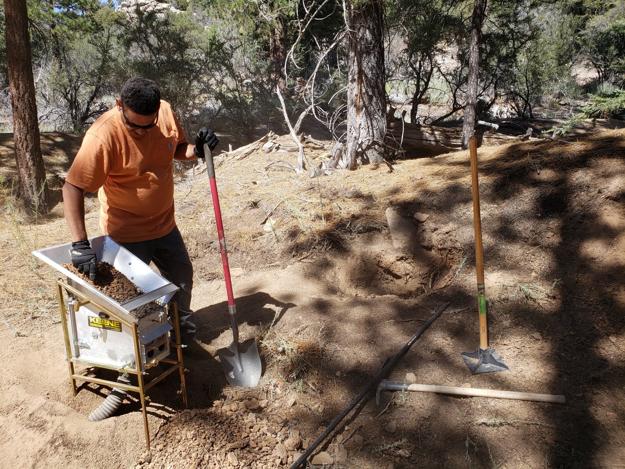 Member content 20 of 24