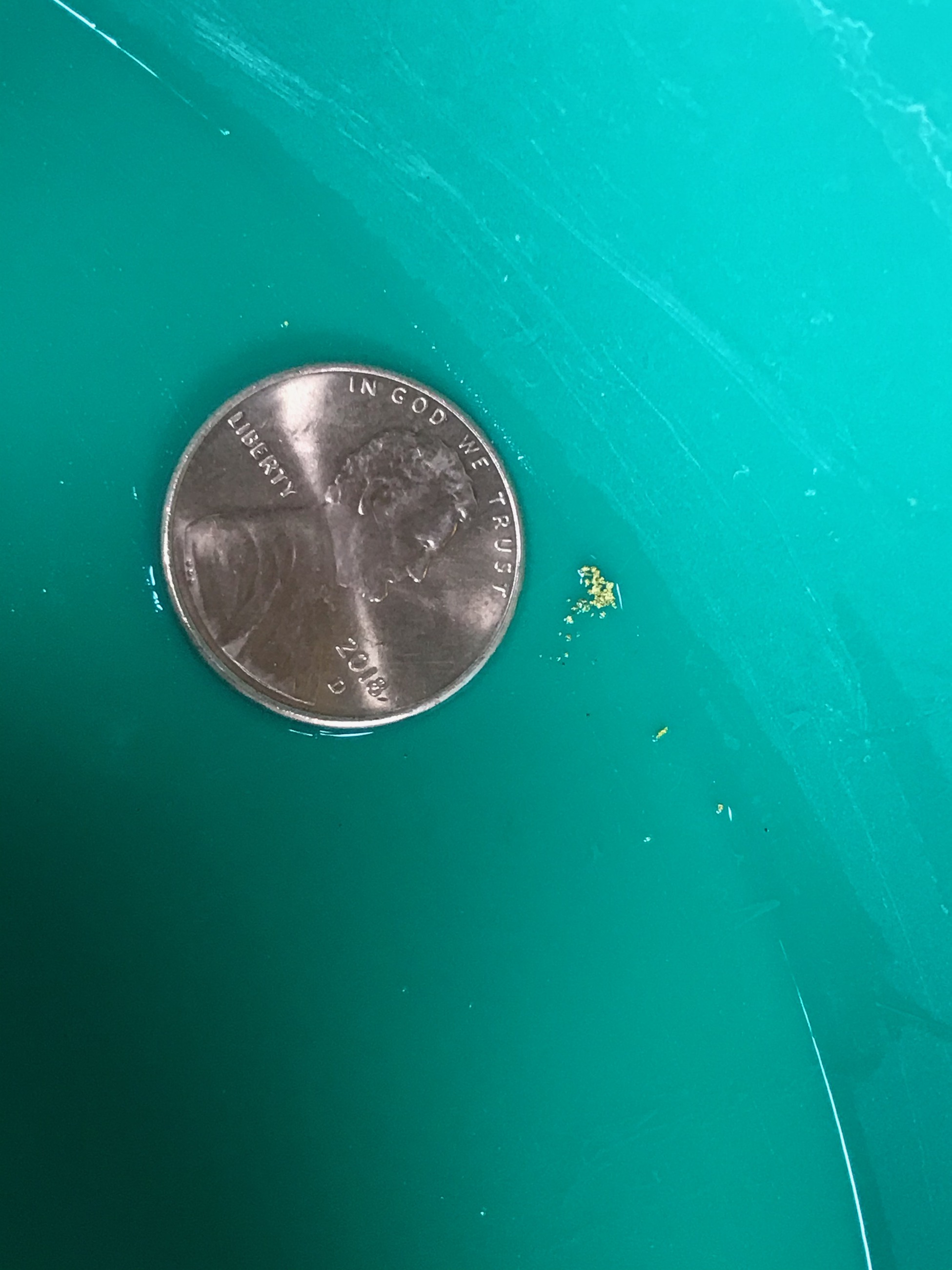 Member content 21 of 24