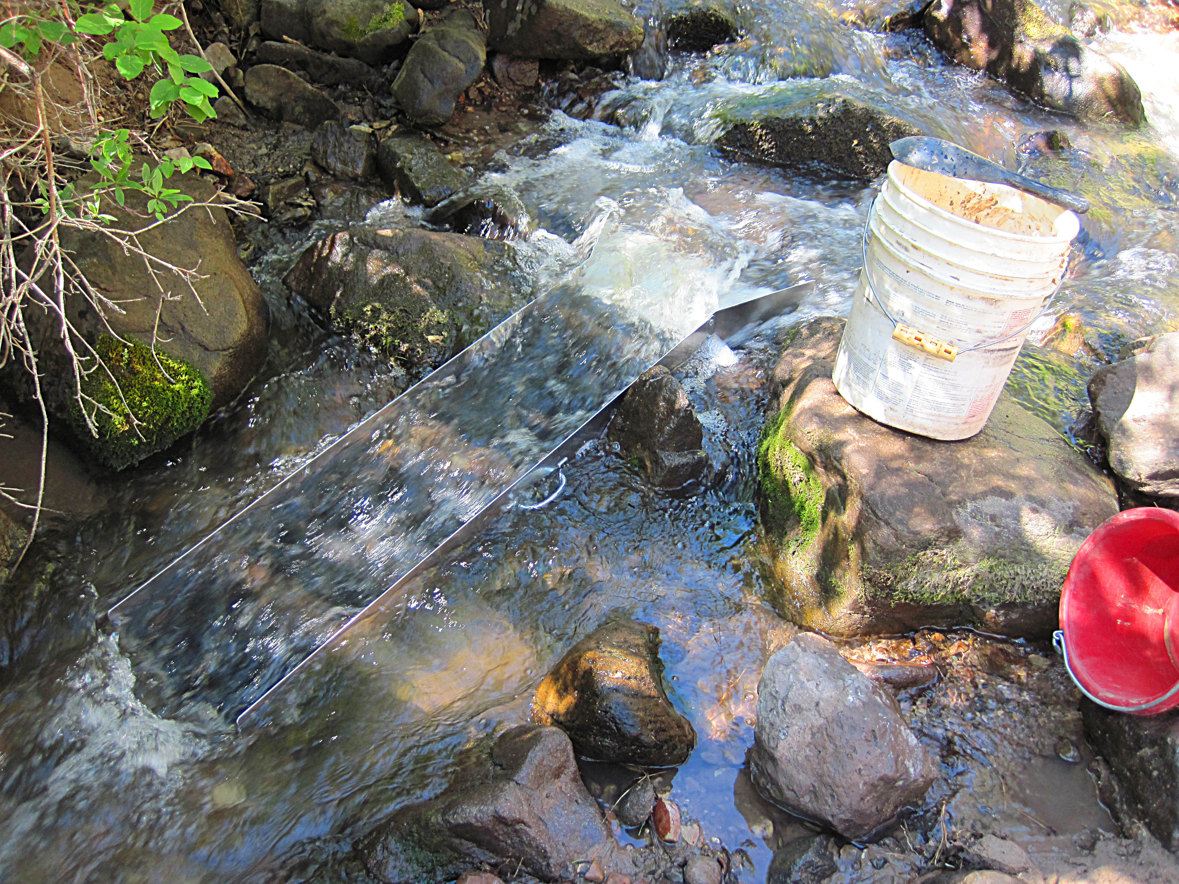 Member content 1 of 22