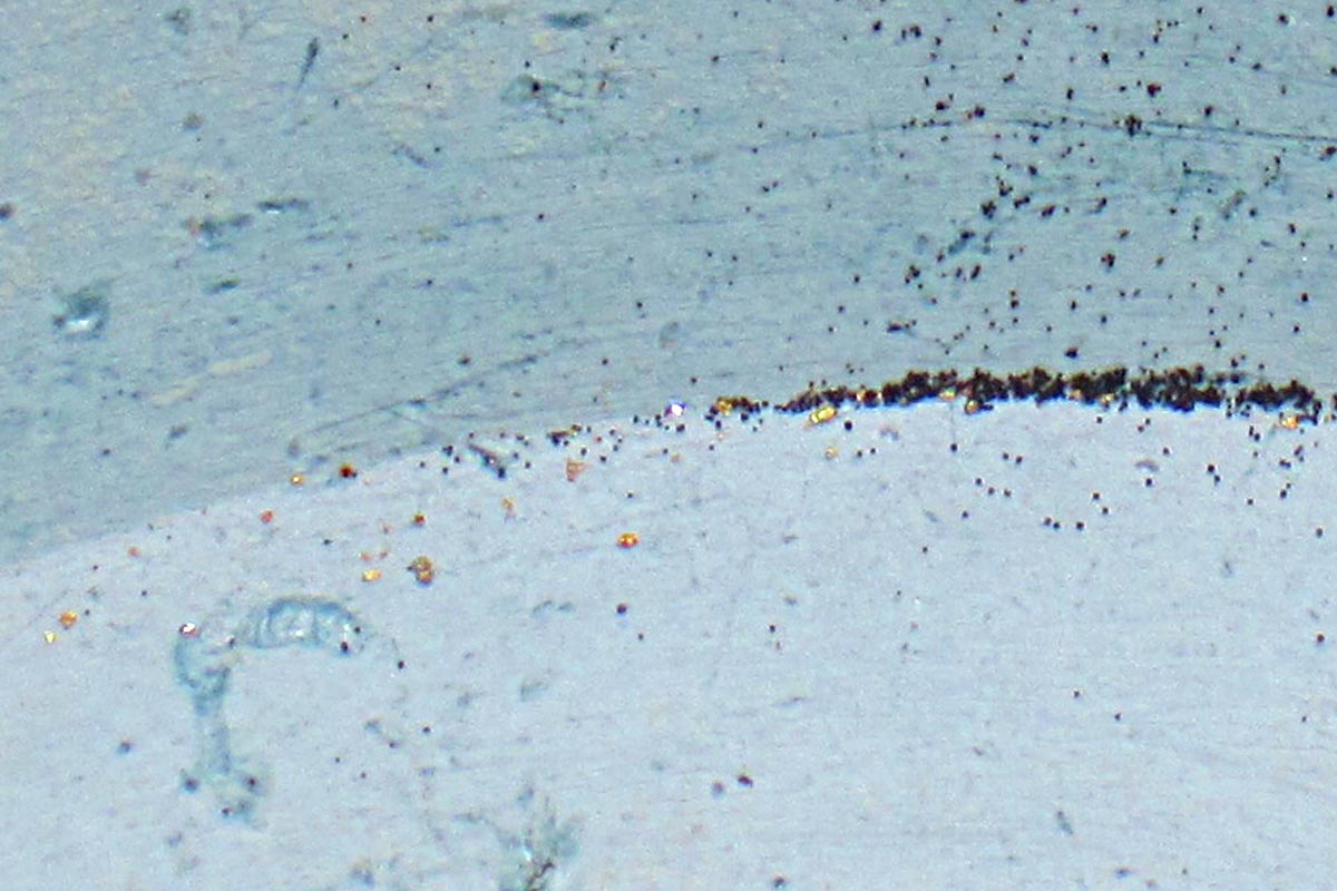 Member content 2 of 22