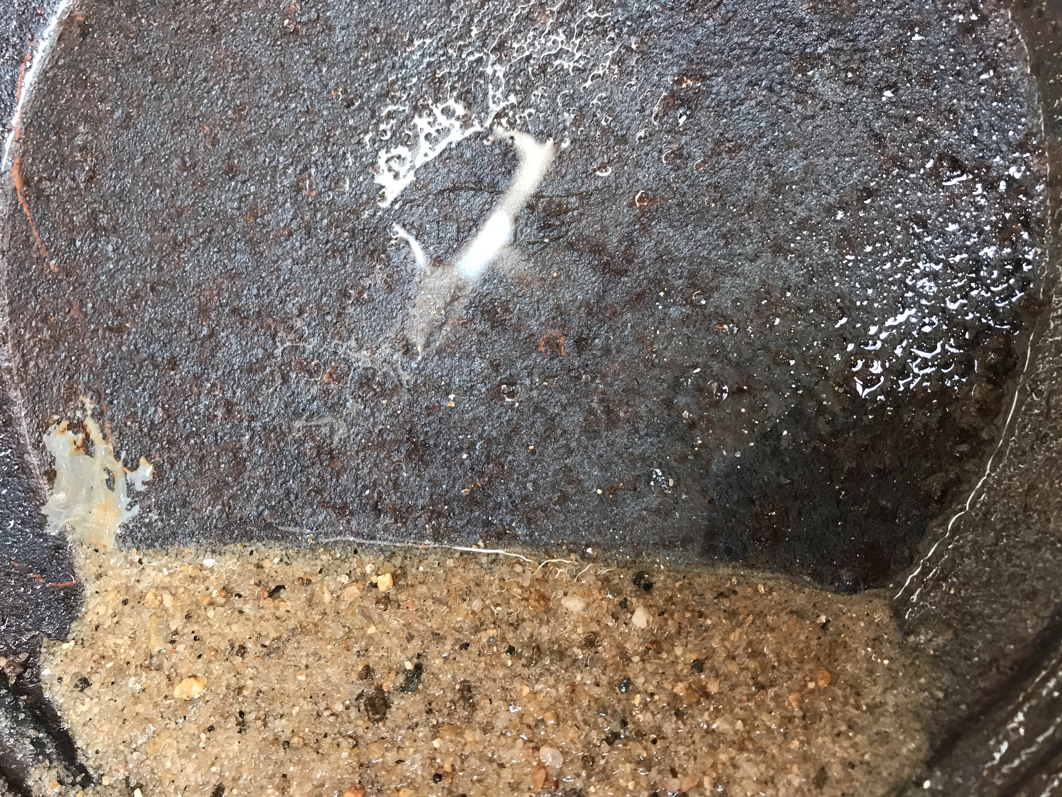 Member content 1 of 8