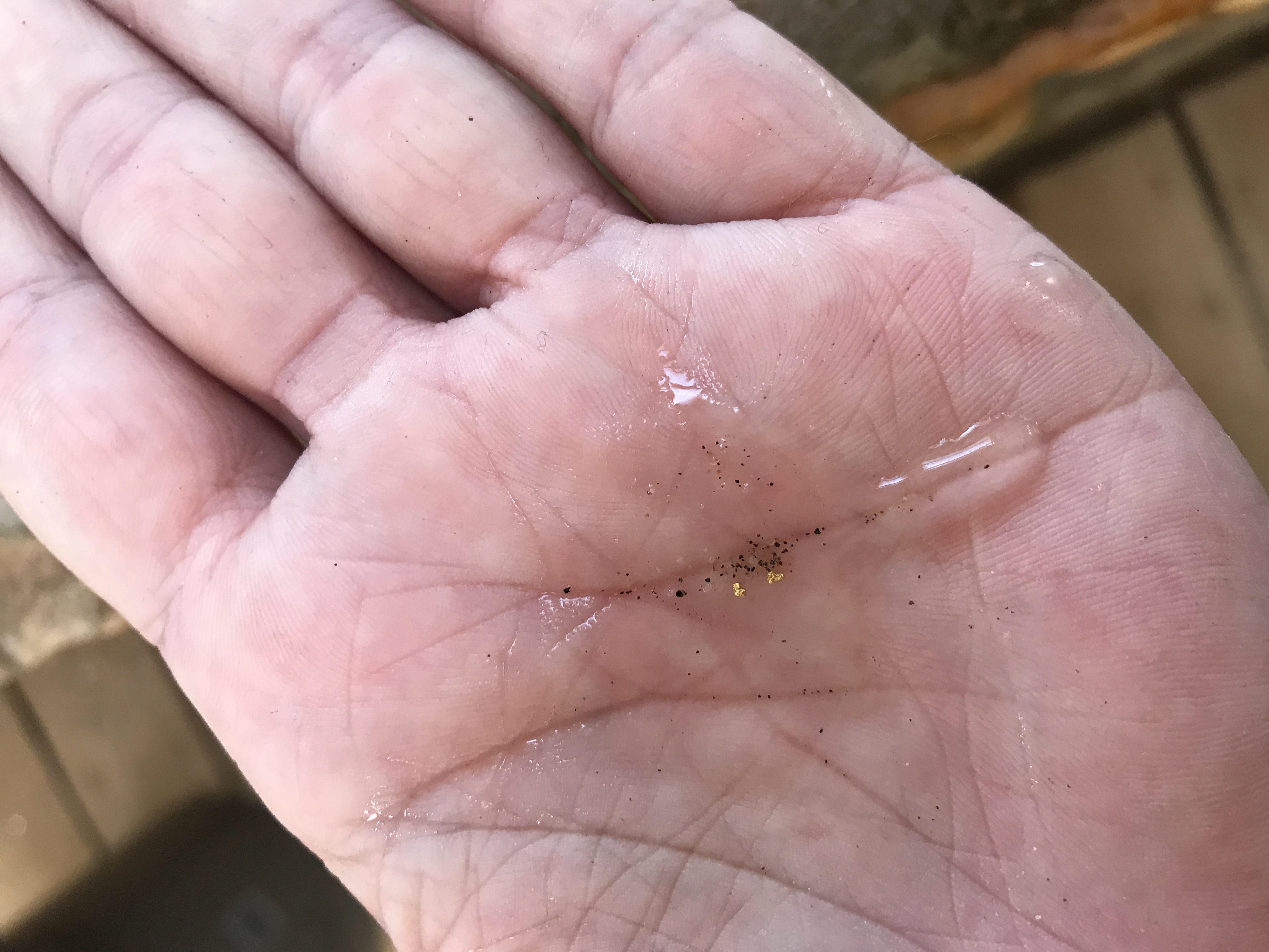 Member content 2 of 8