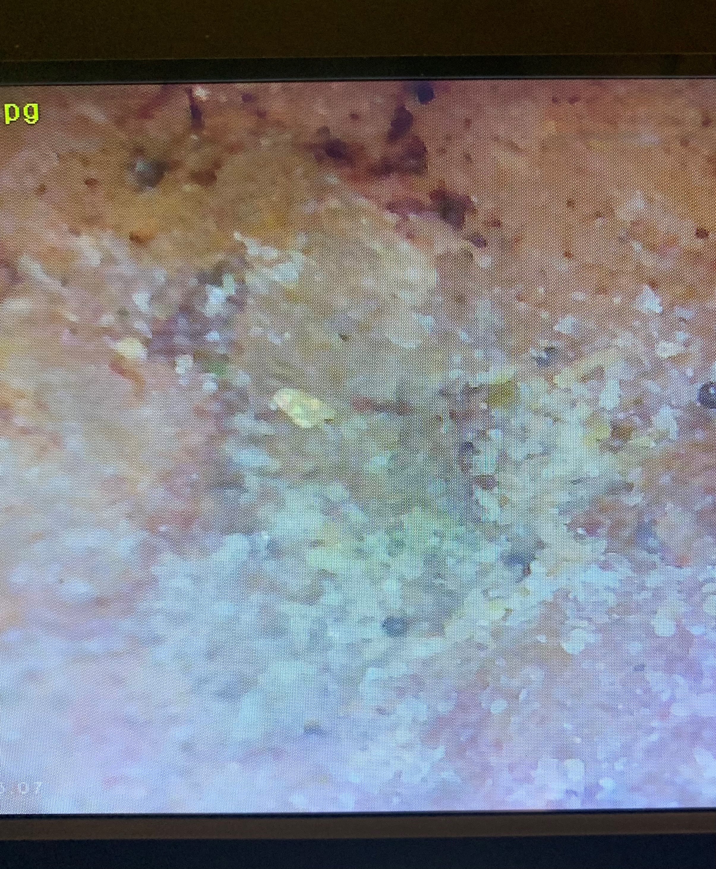 Member content 3 of 10