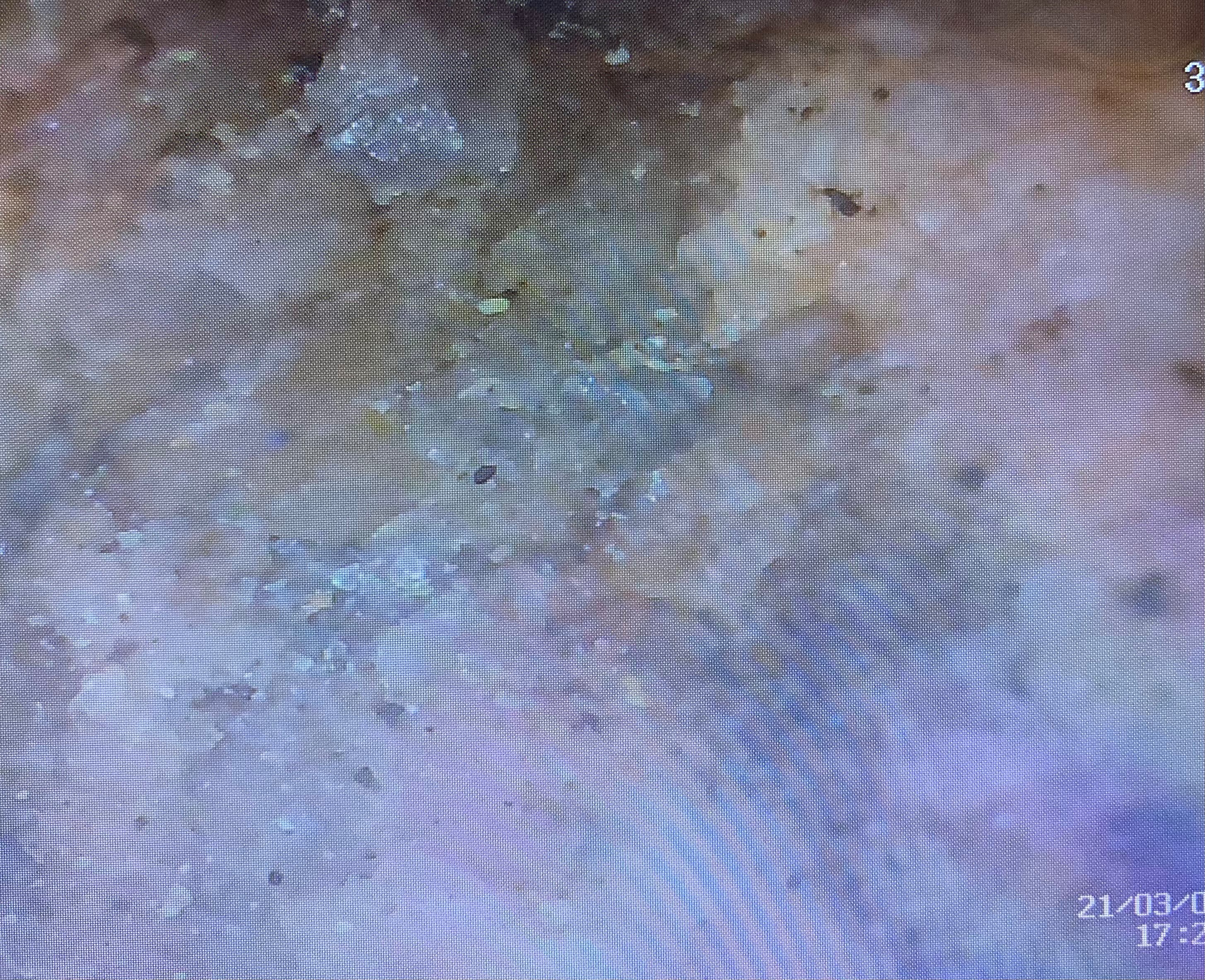 Member content 4 of 10