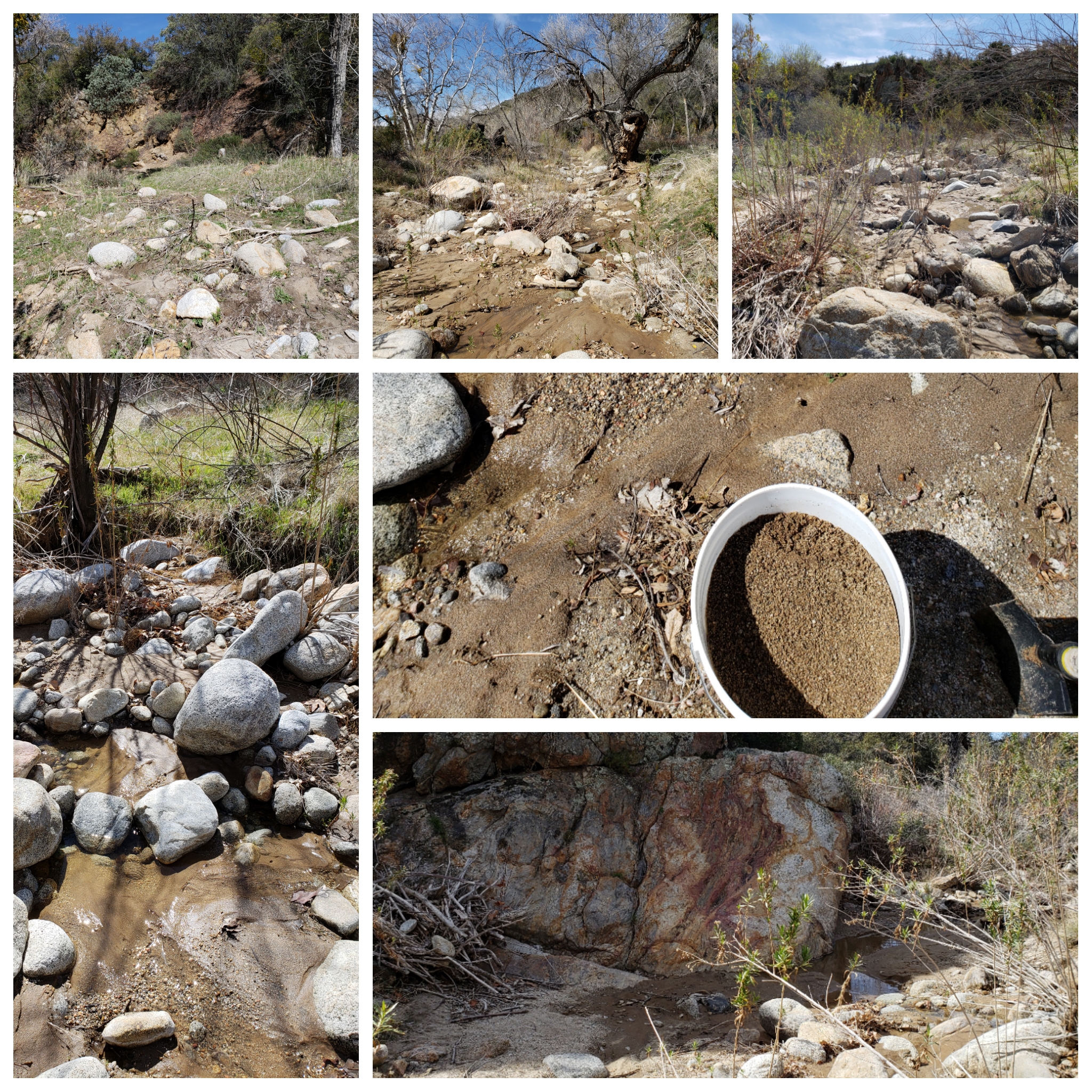 Member content 1 of 27