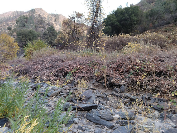 Member content 3 of 6