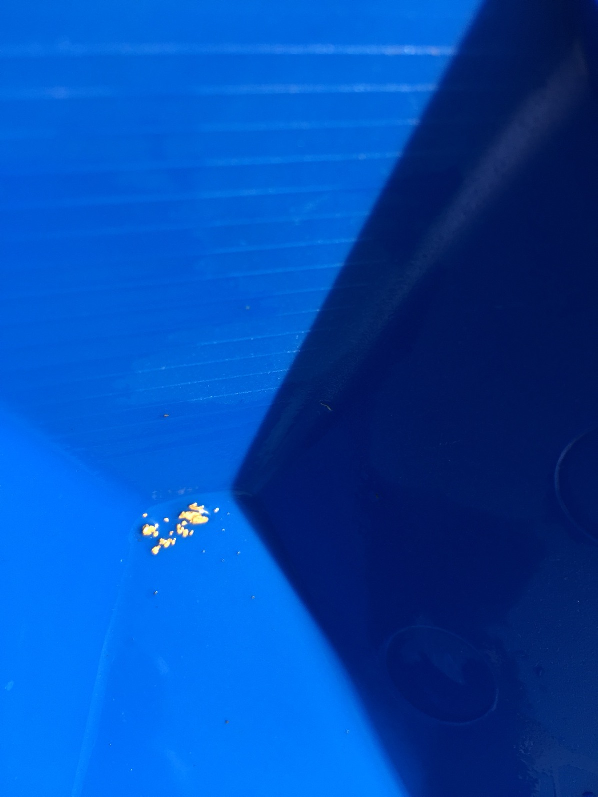 Member content 7 of 206