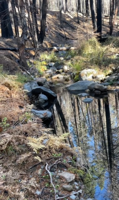 Member content 1 of 4