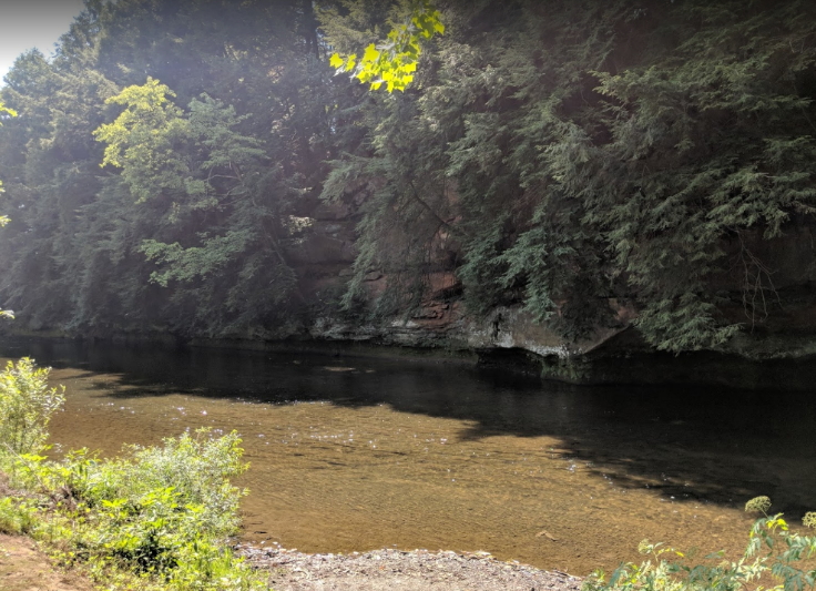 Member content 7 of 21