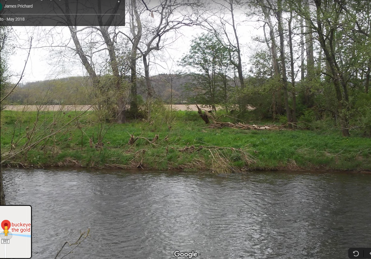 Member content 9 of 21