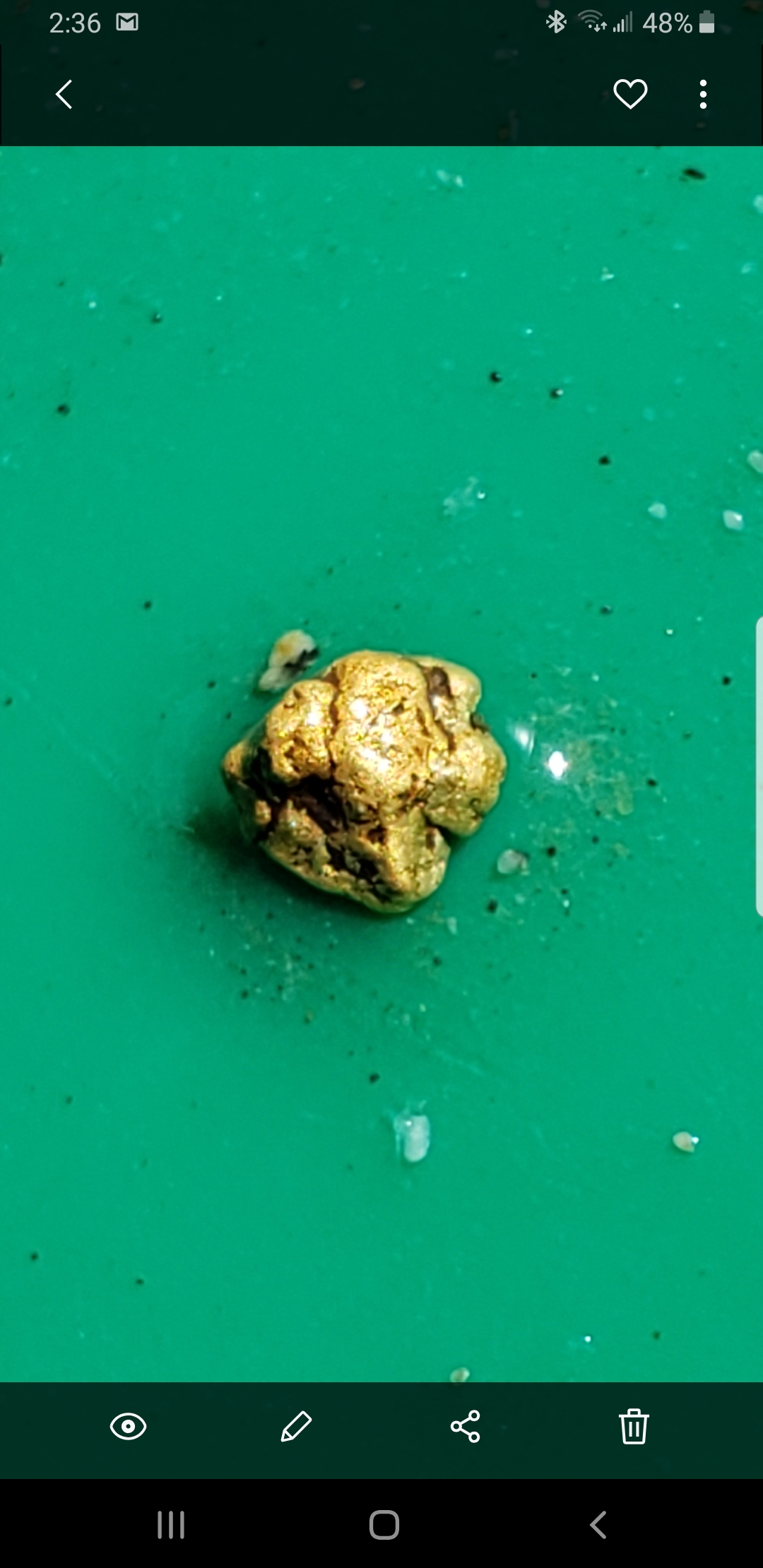 Member content 24 of 206