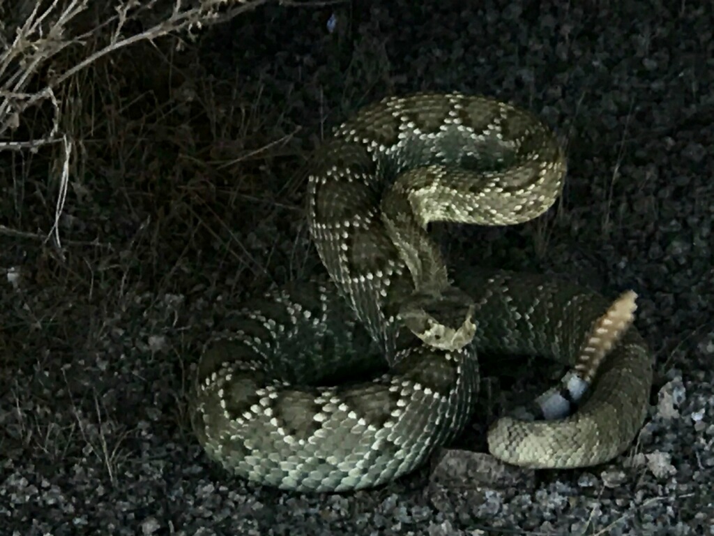 Member content 25 of 206