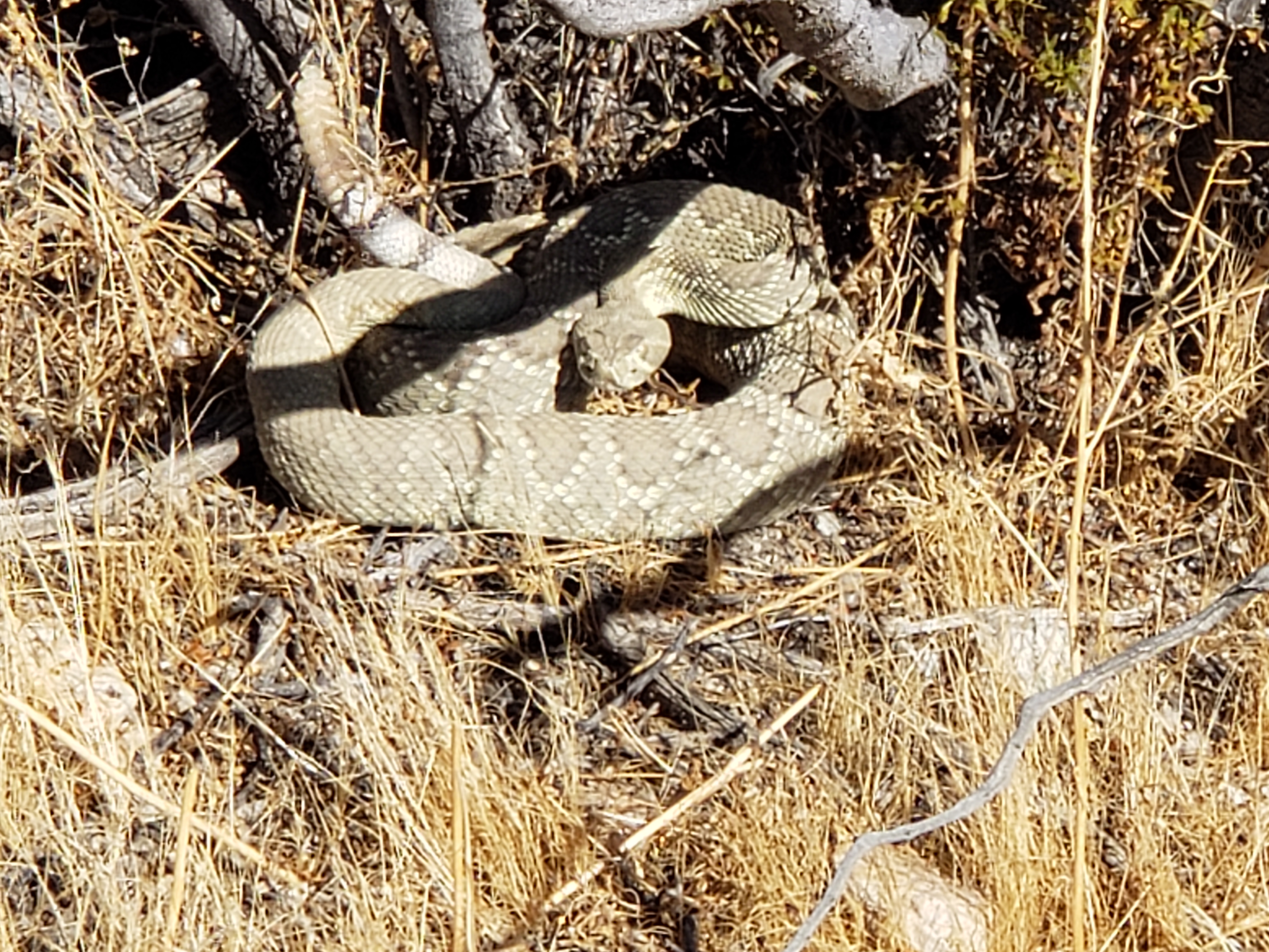 Member content 26 of 206