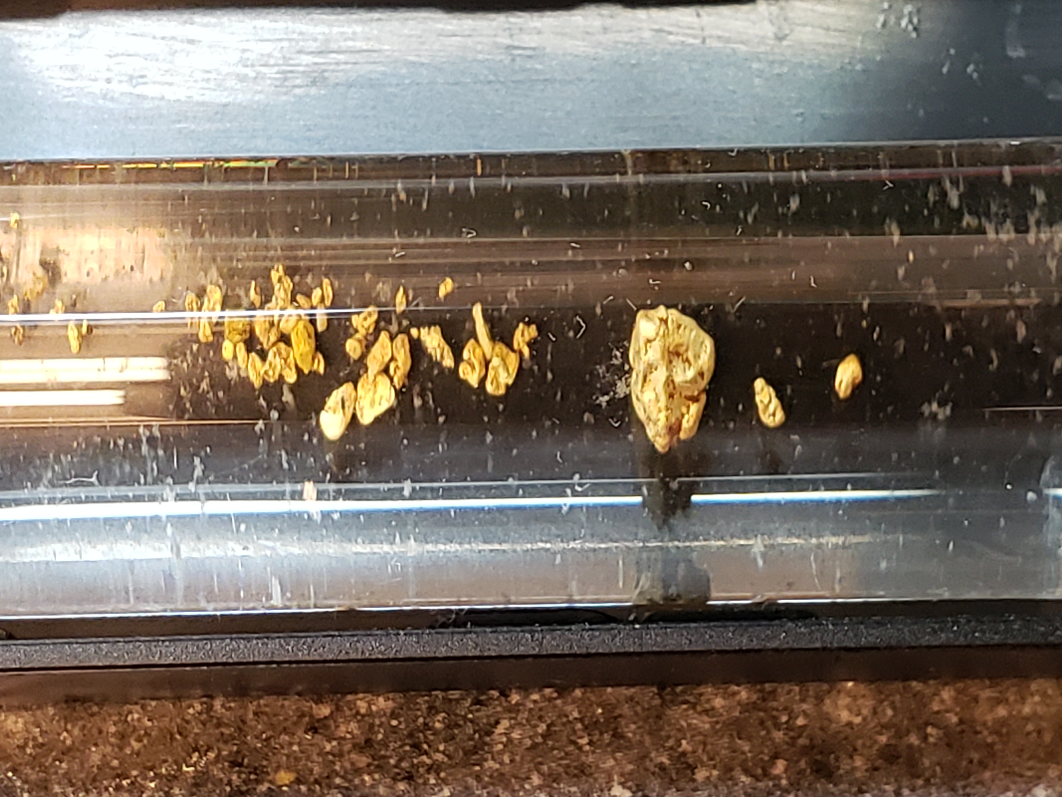 Member content 27 of 206