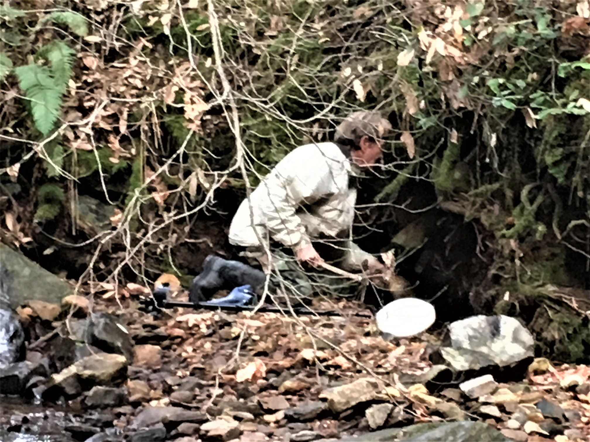 Member content 3 of 11