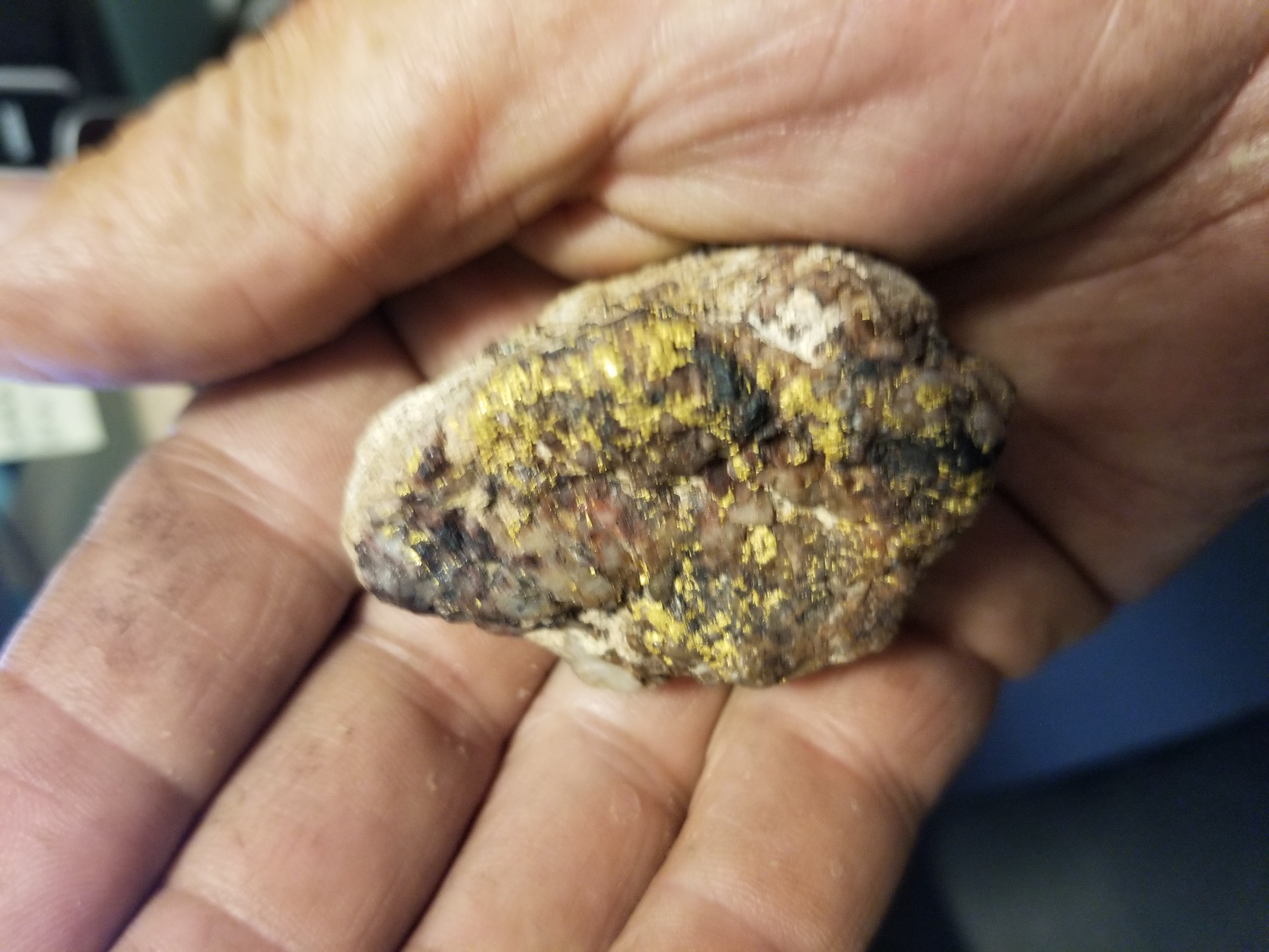 Member content 15 of 41