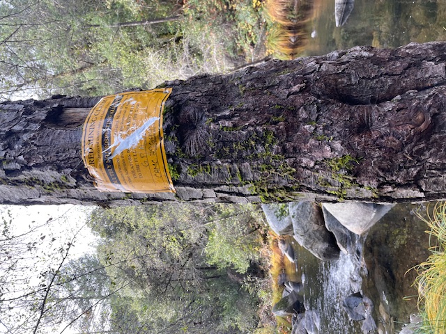 Member content 13 of 25