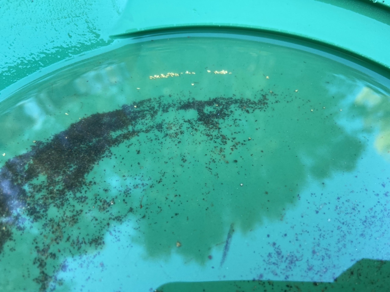 Member content 9 of 27