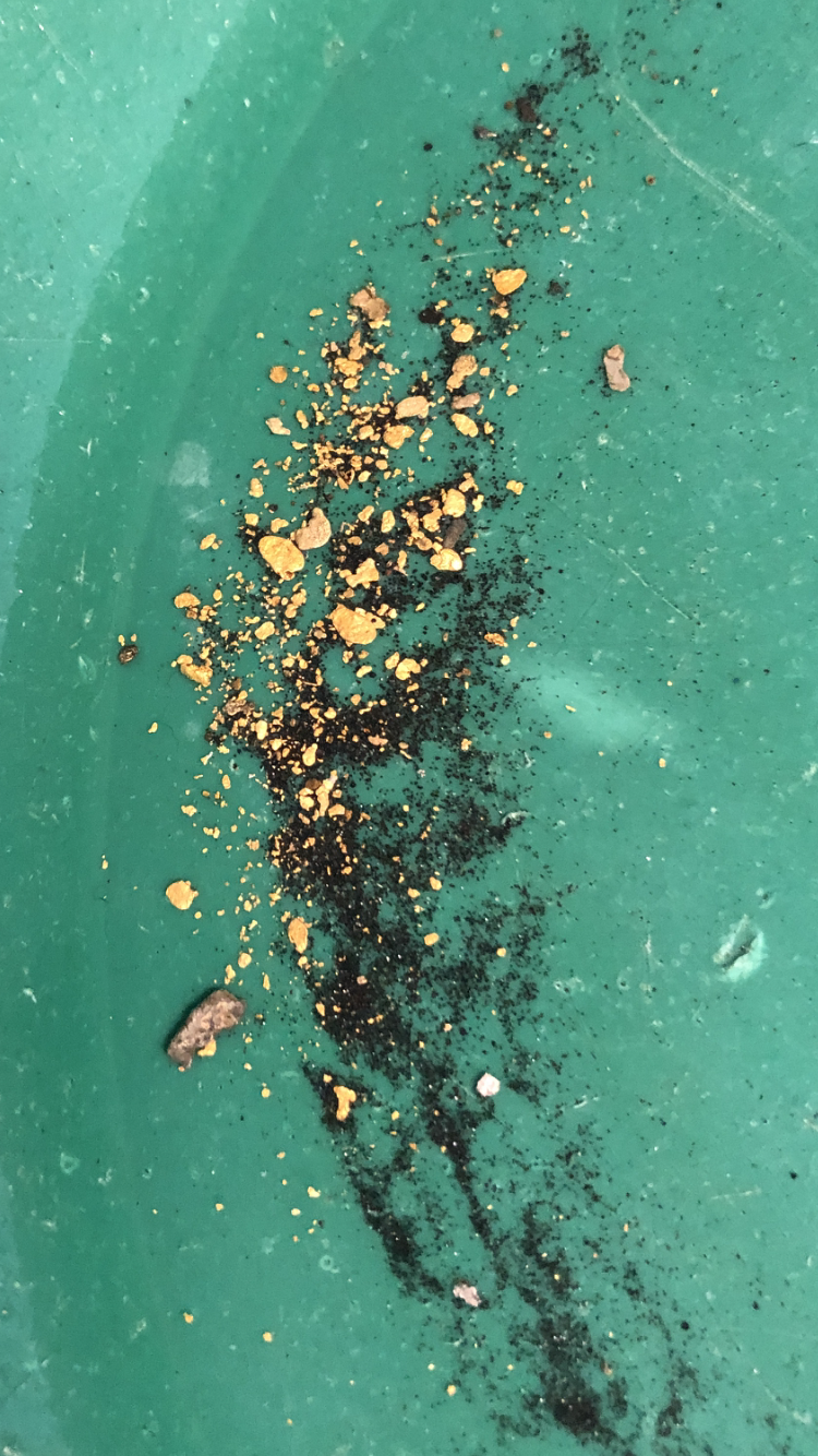 Member content 1 of 5