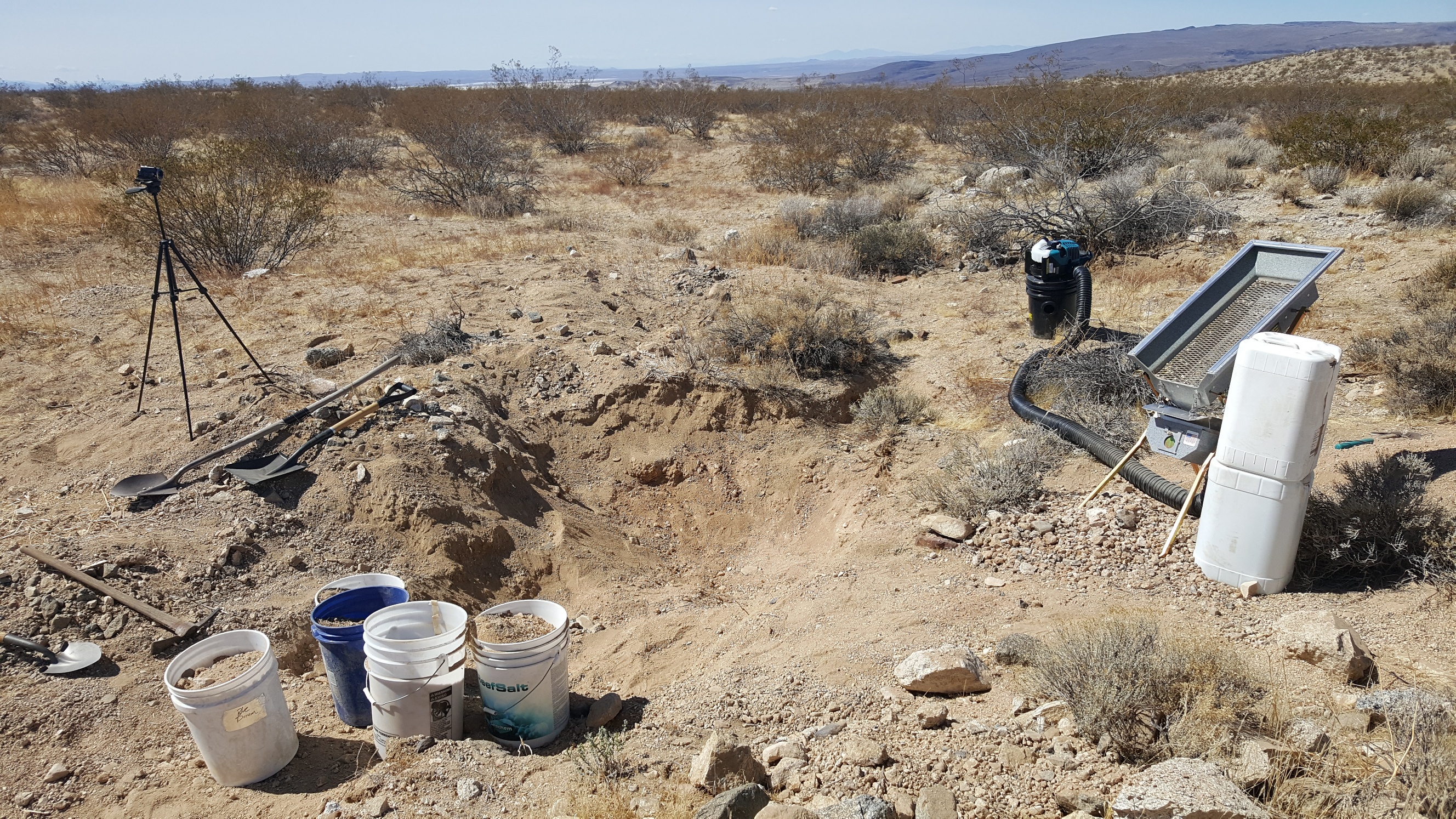 Member content 5 of 13