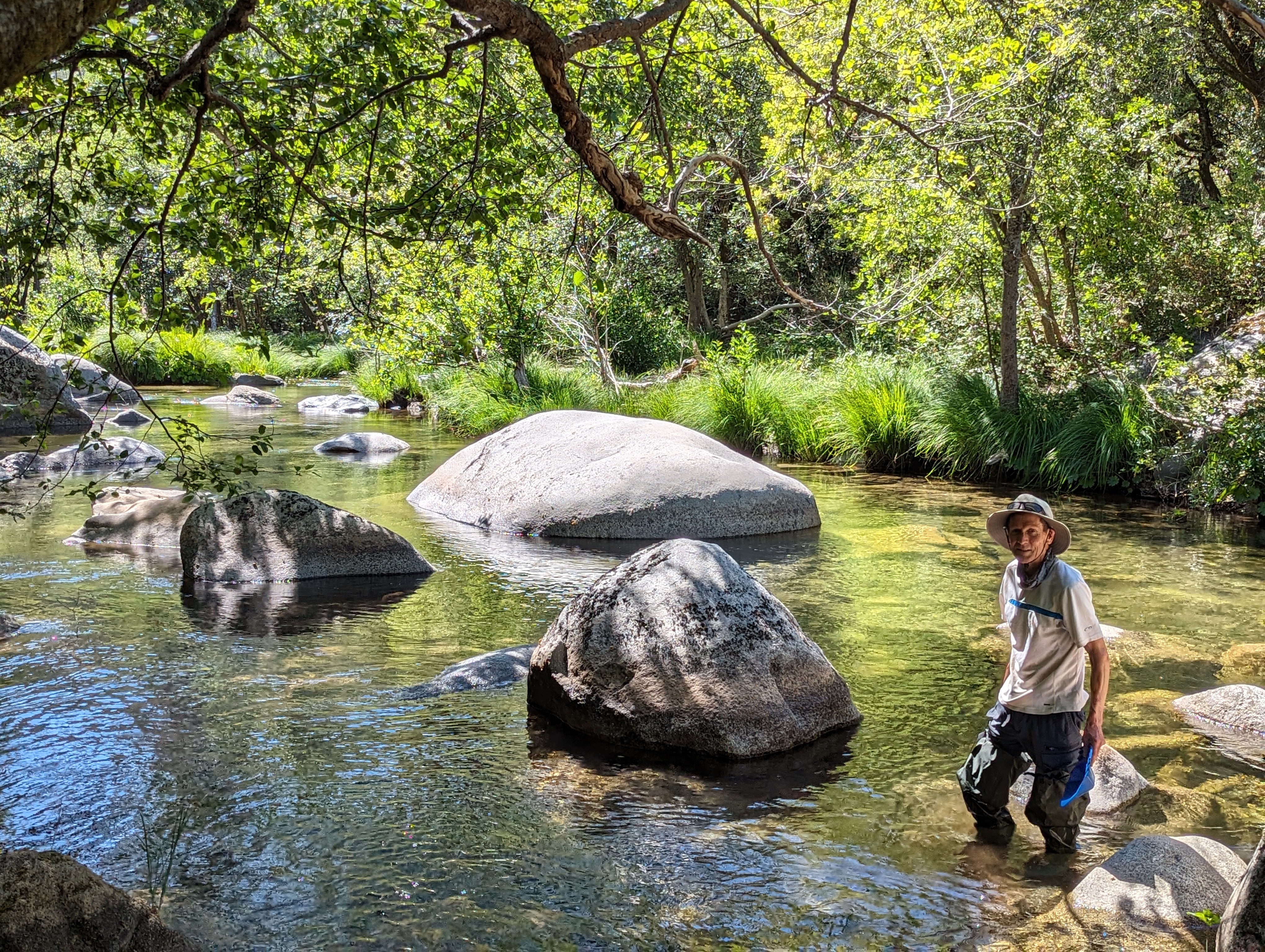 Member content 12 of 25