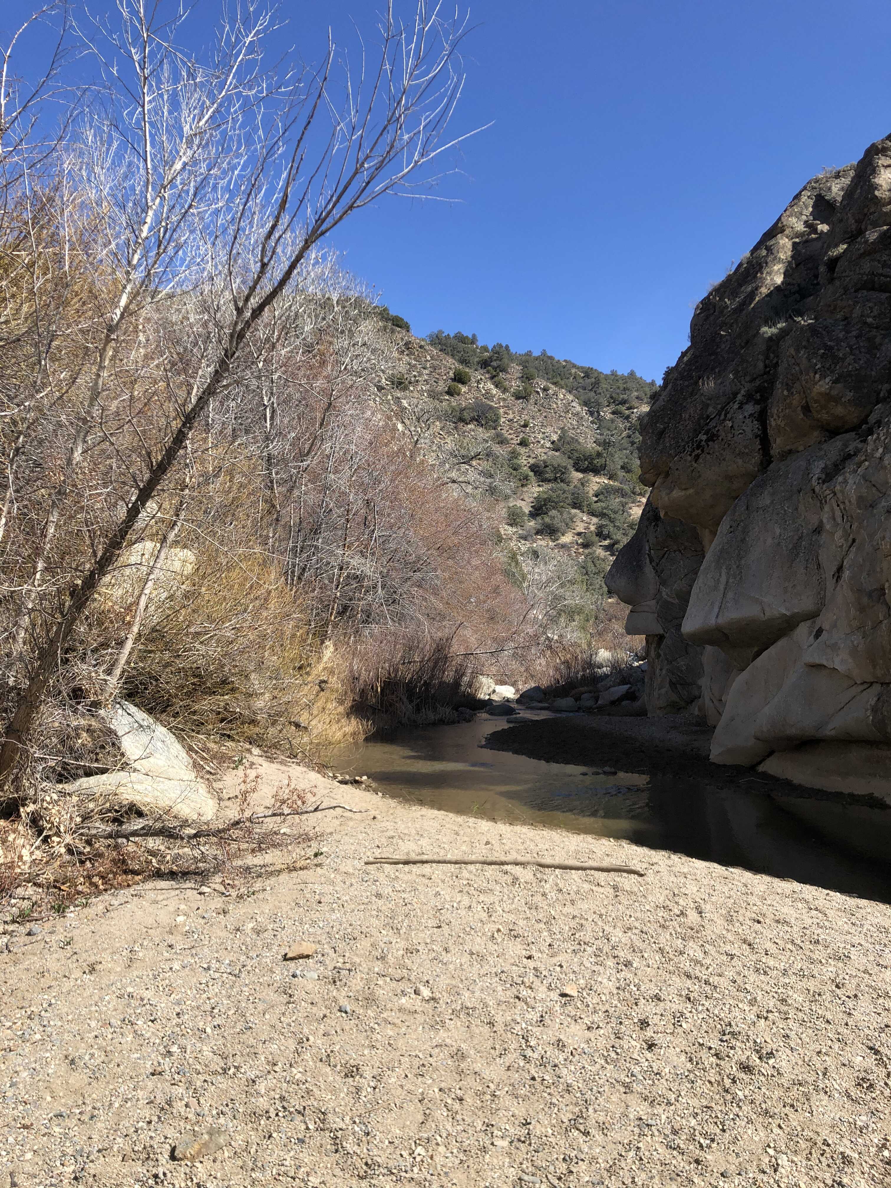 Member content 5 of 27