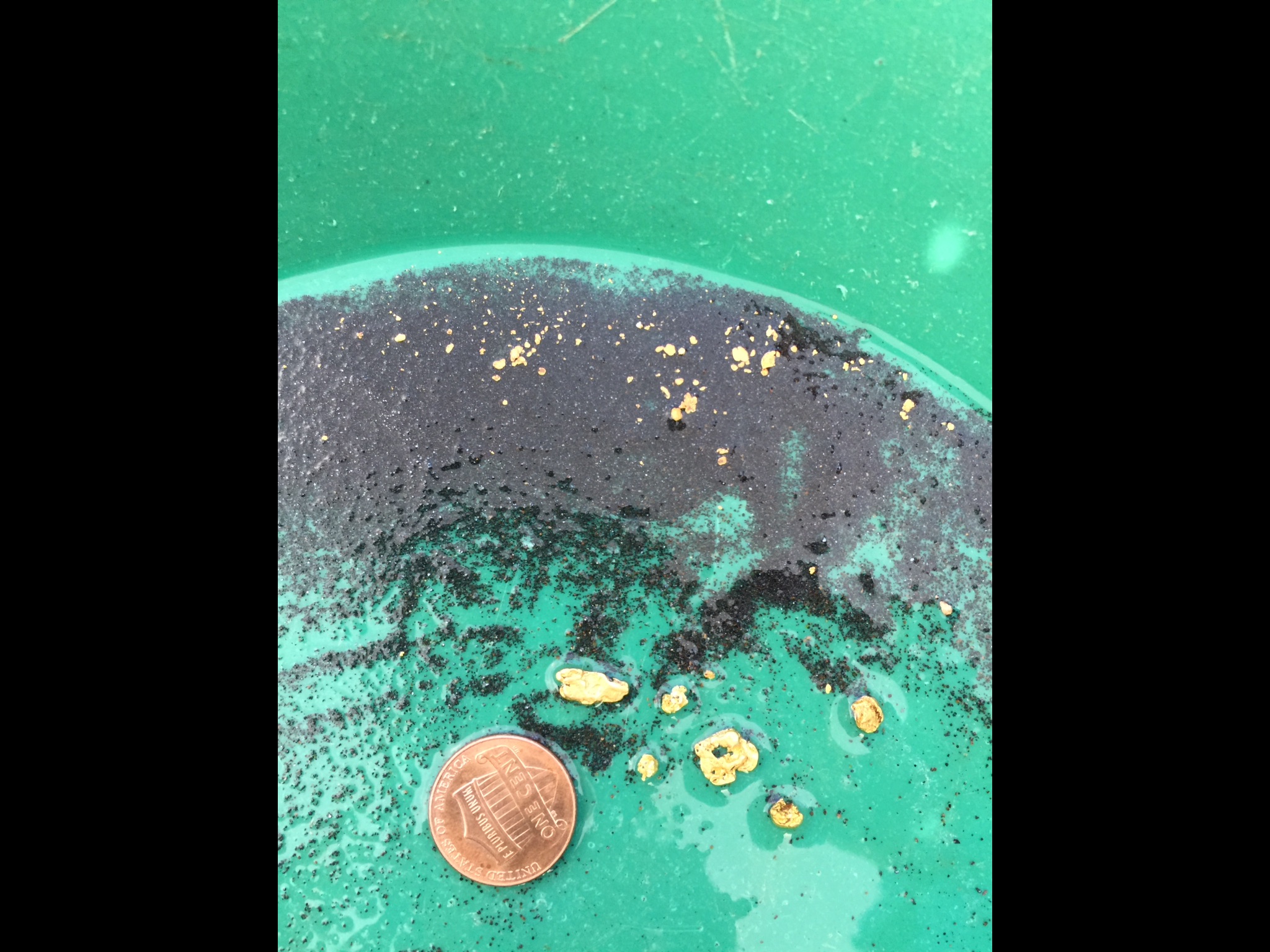 Member content 1 of 23