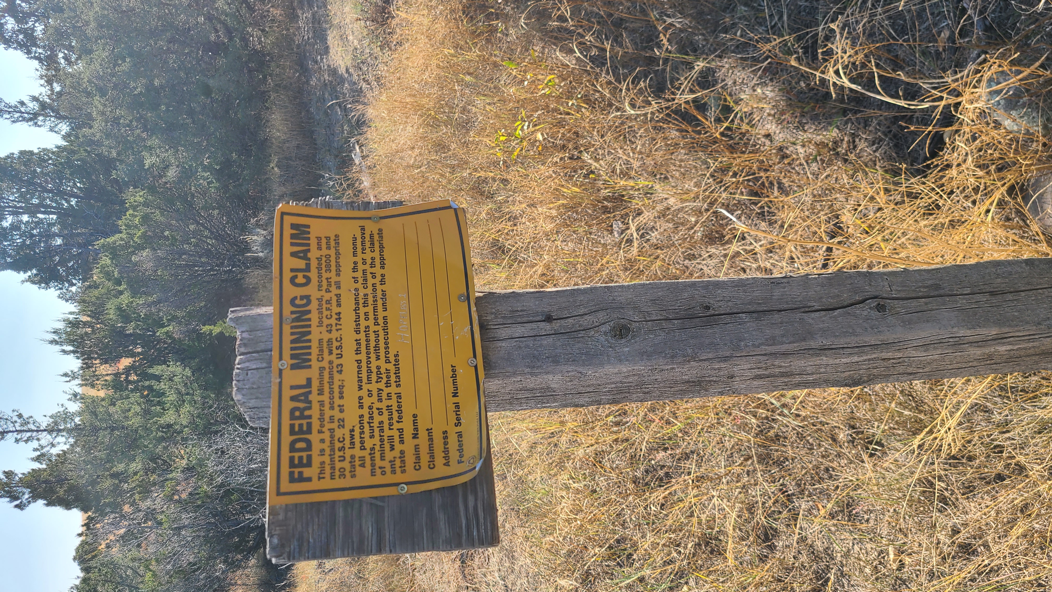 Member content 2 of 2