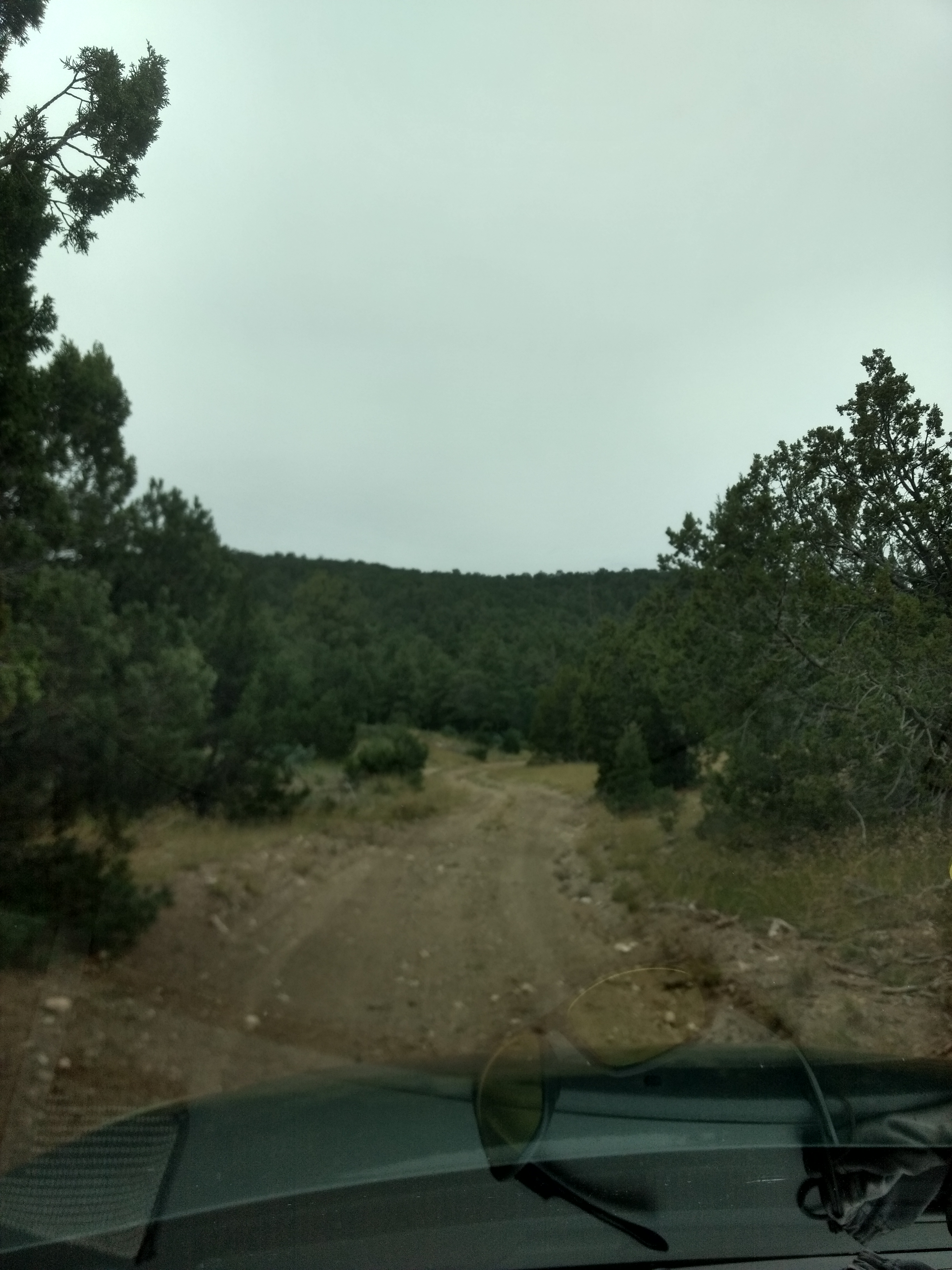 Member content 2 of 12