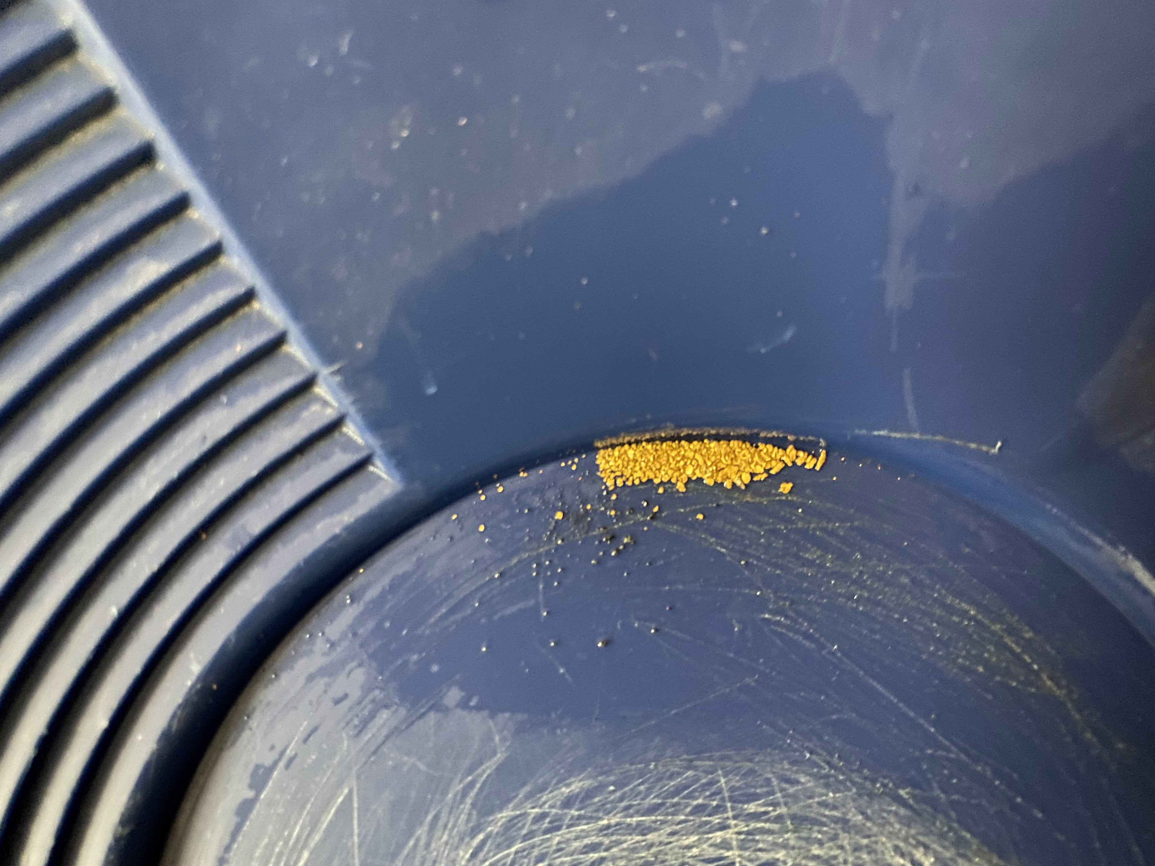 Member content 9 of 21