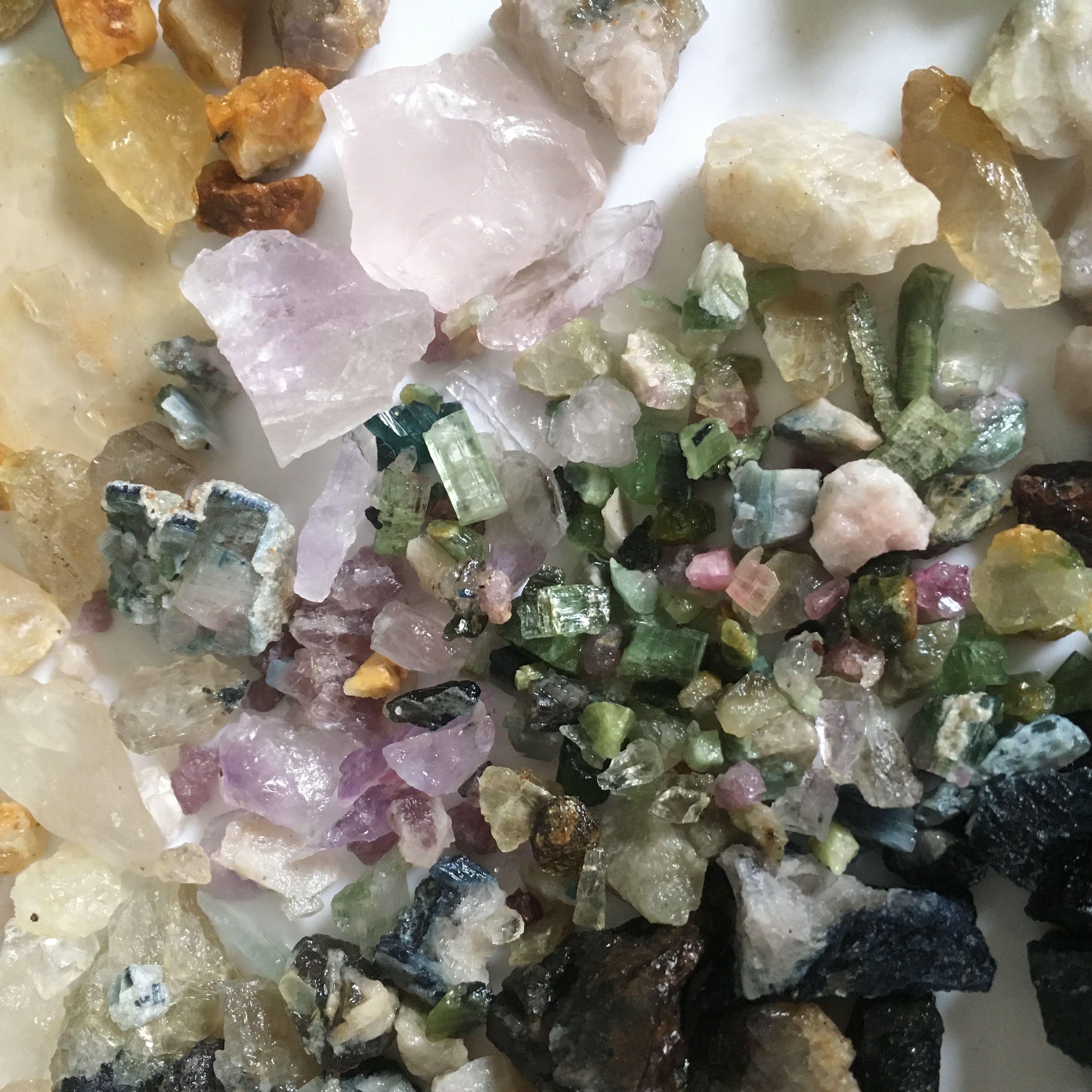 Member content 1 of 2