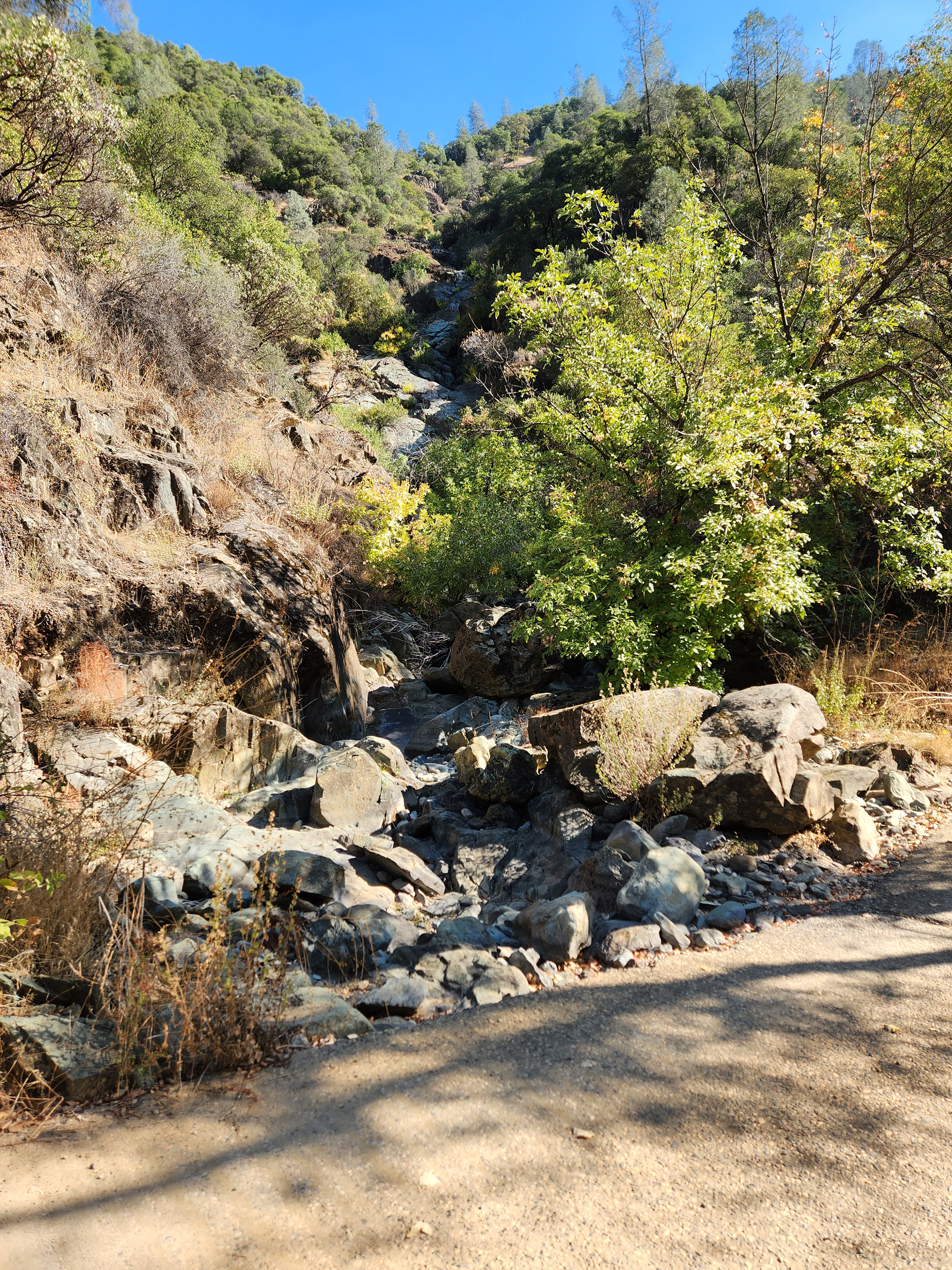 Member content 3 of 4