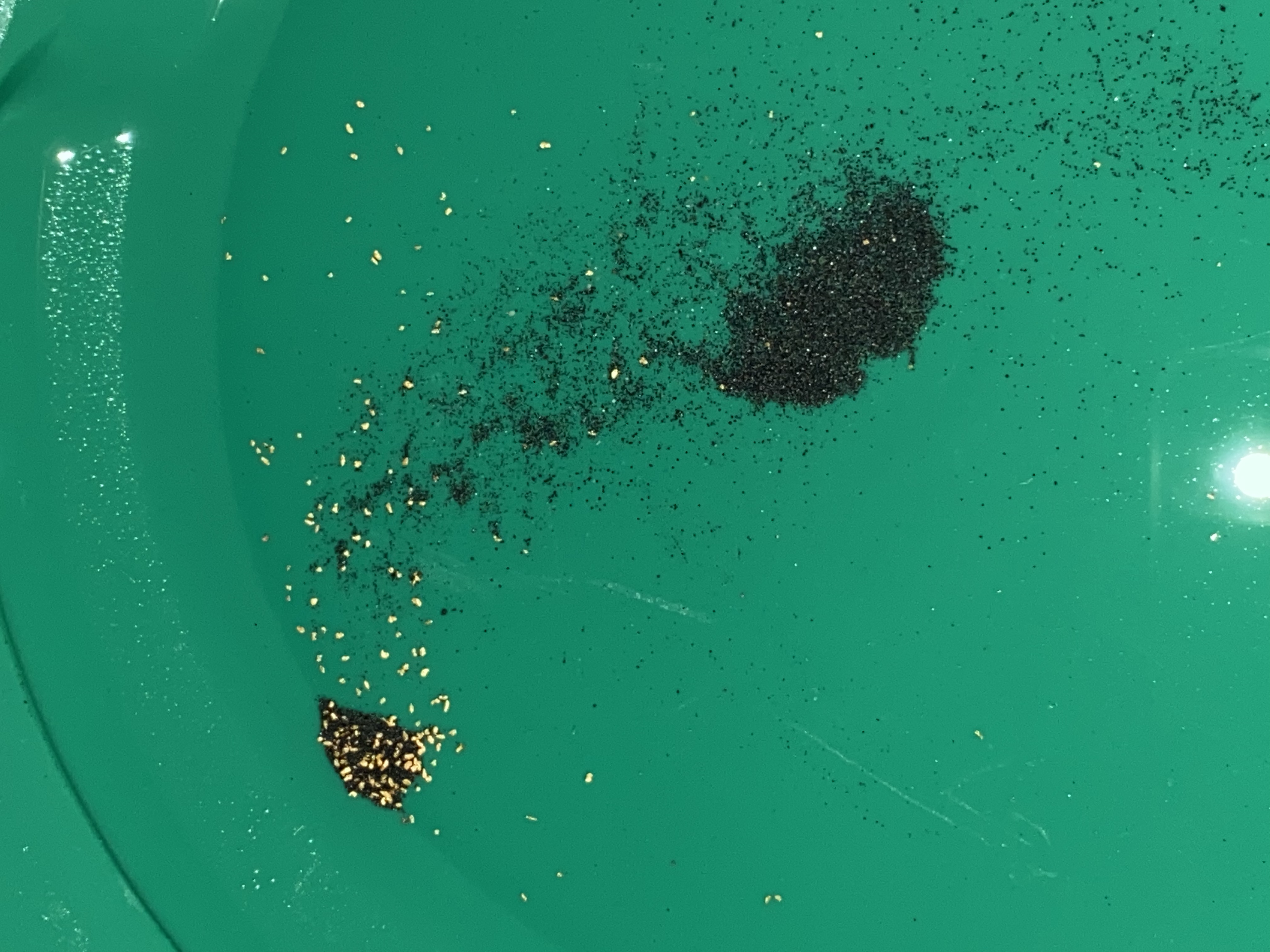 Member content 5 of 6