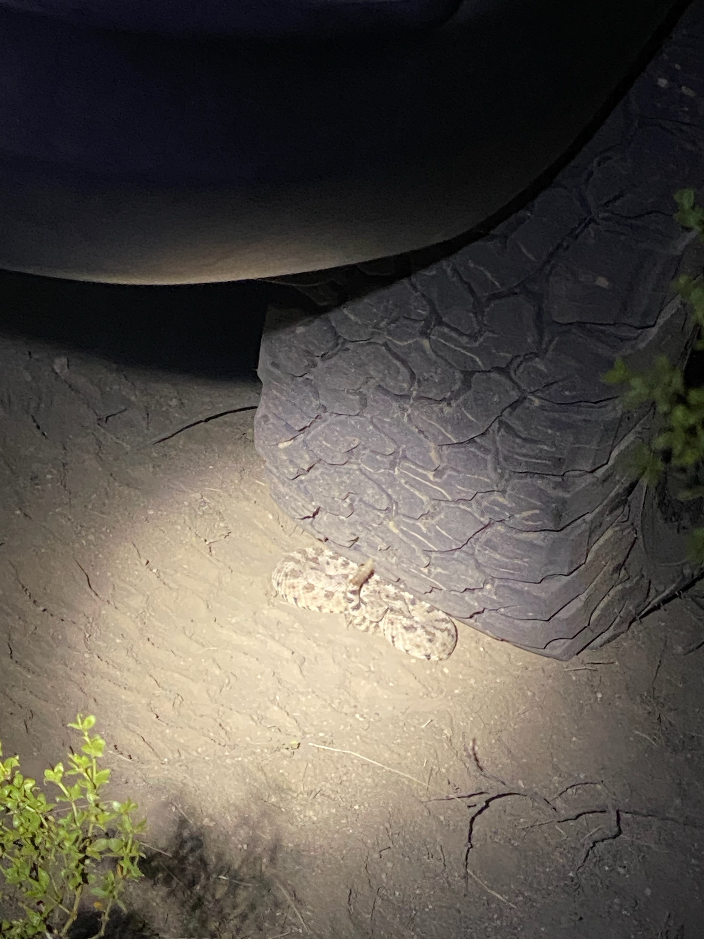 Member content 12 of 14