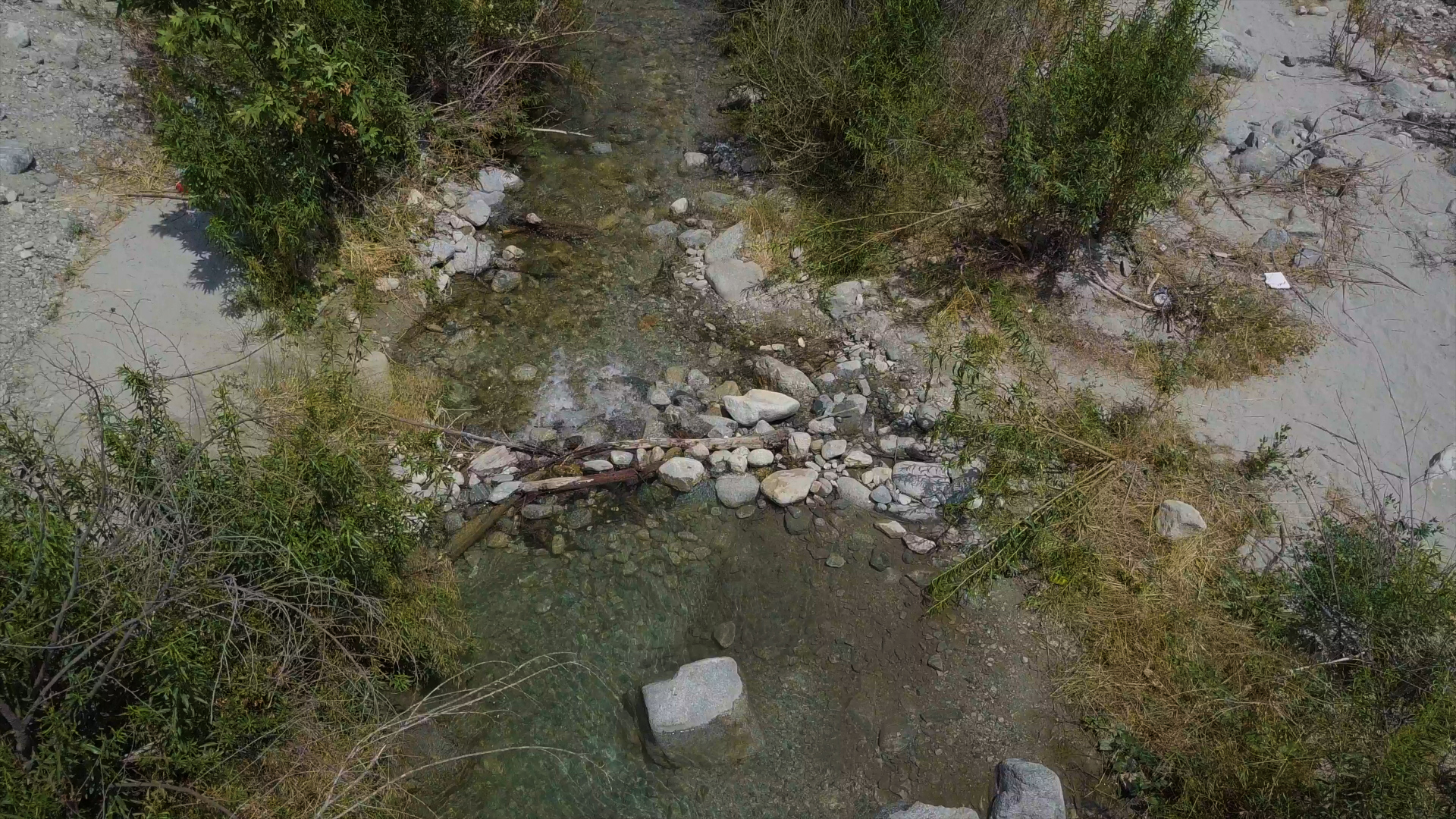 Member content 4 of 33