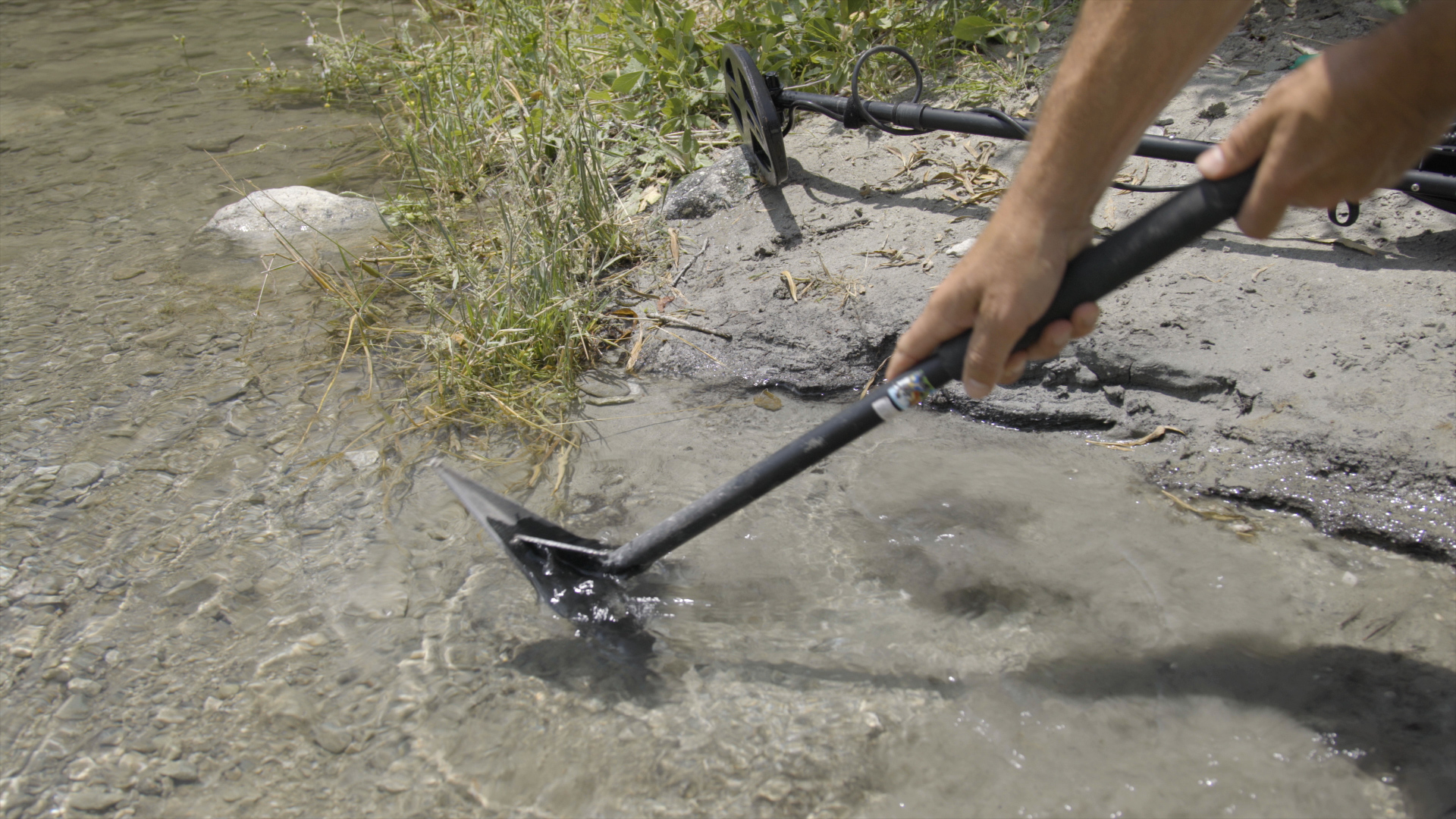 Member content 5 of 33