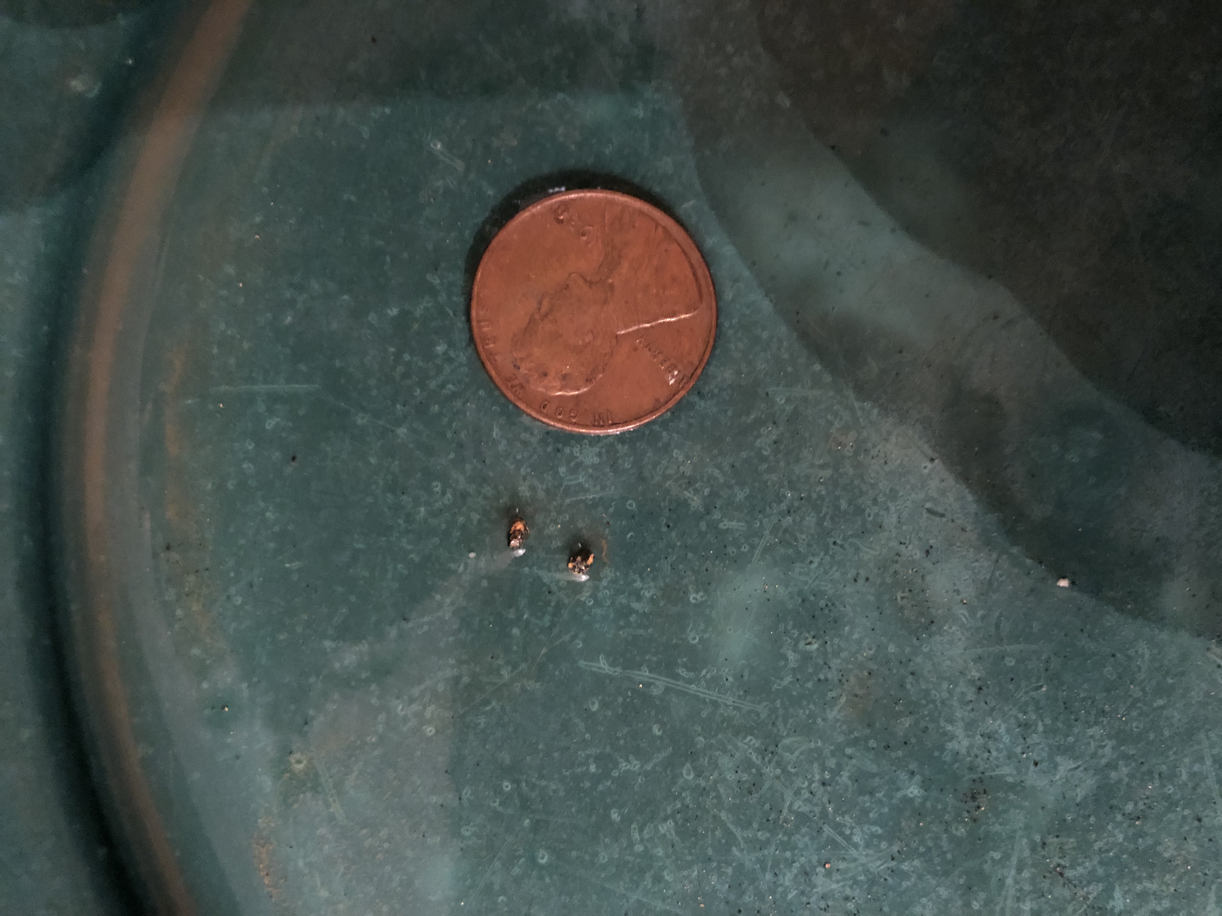 Member content 29 of 206