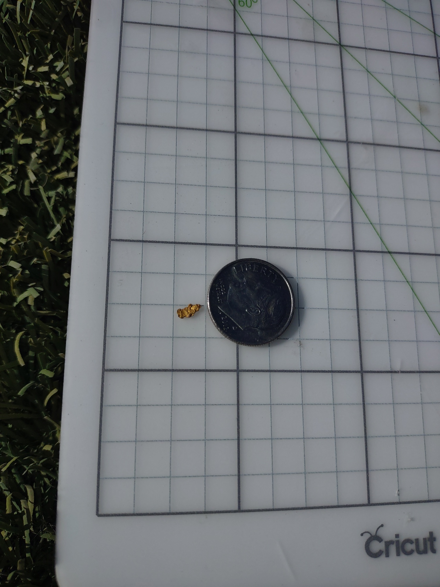 Member content 186 of 206