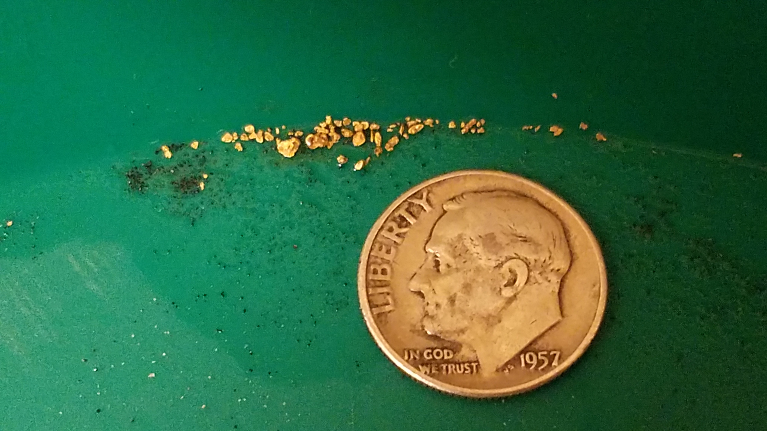 Member content 9 of 206