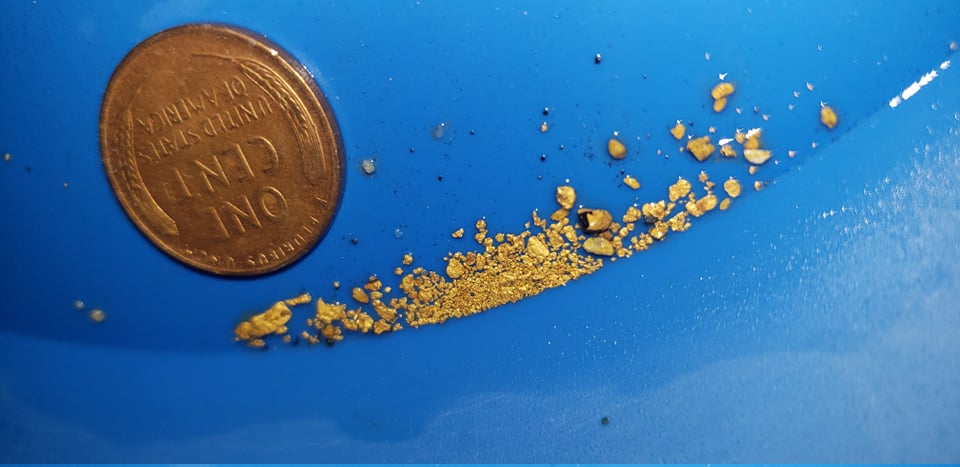 Member content 56 of 206