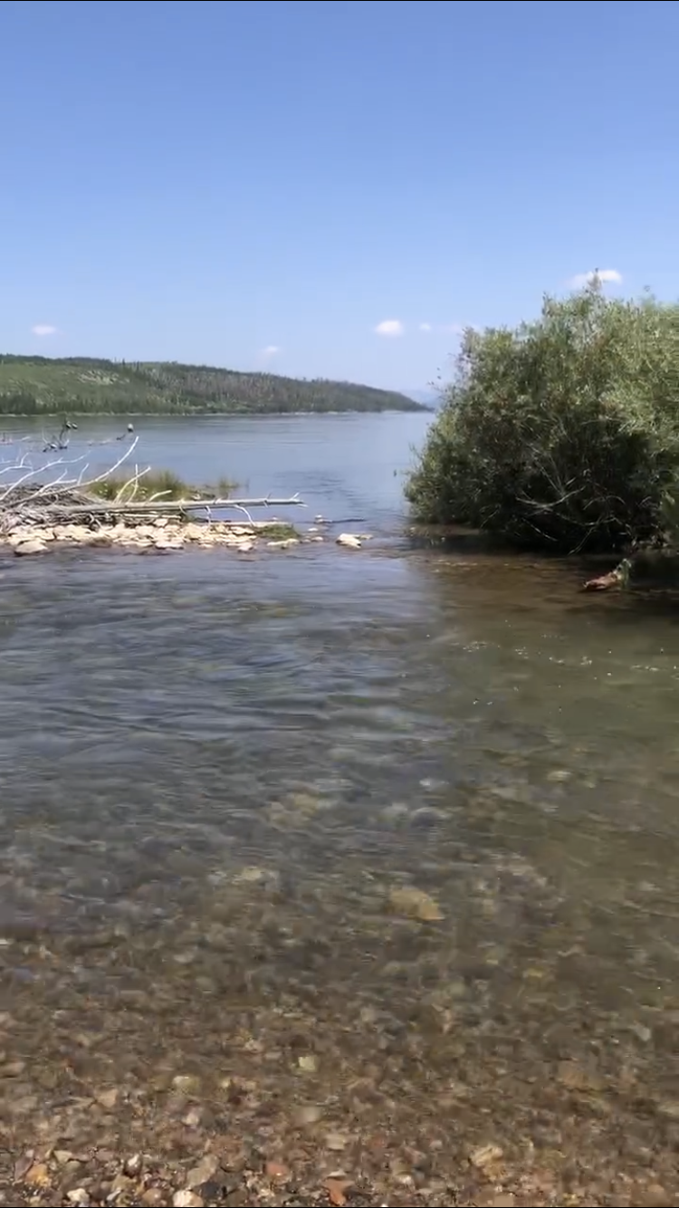 Member content 1 of 1