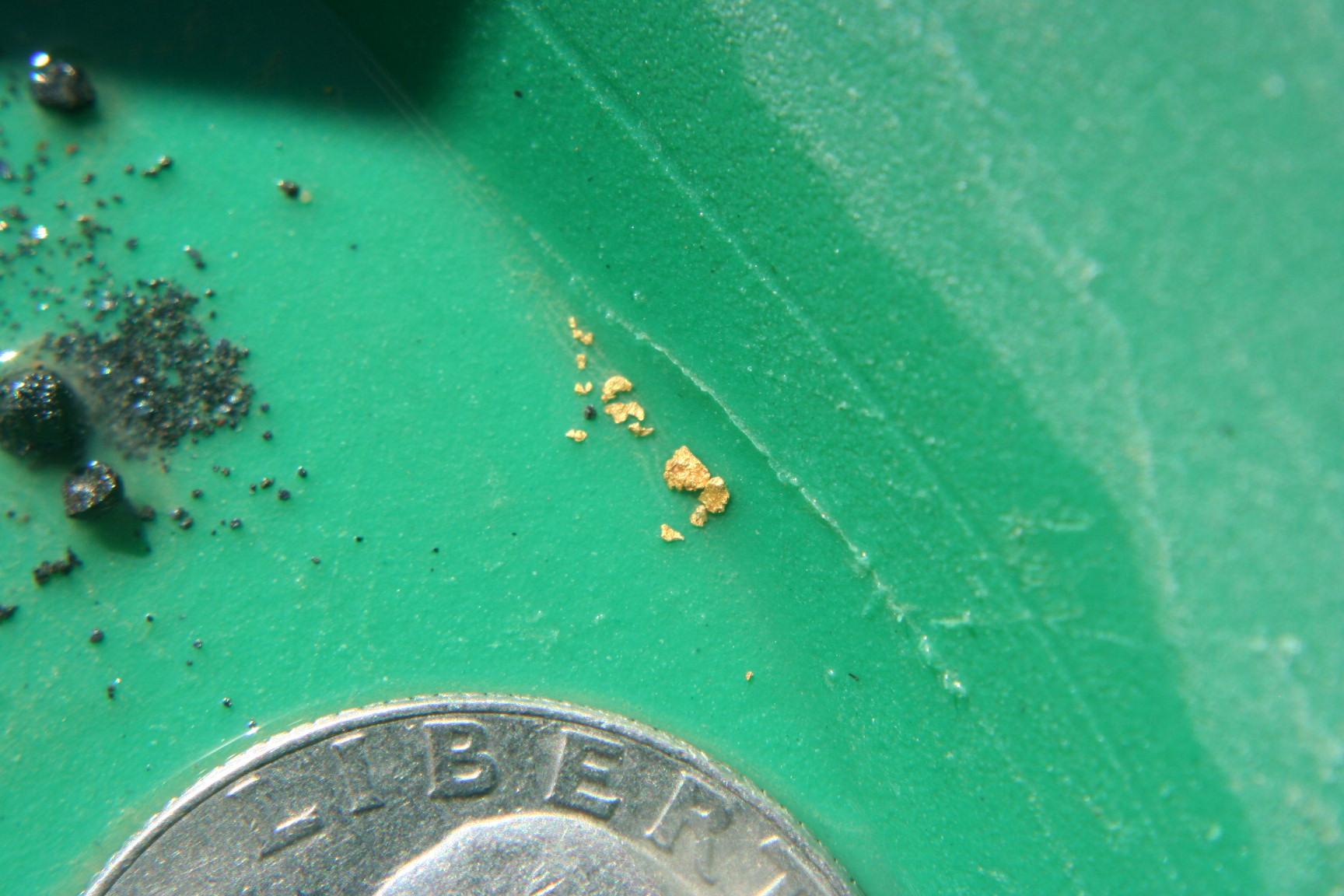 Member content 1 of 12