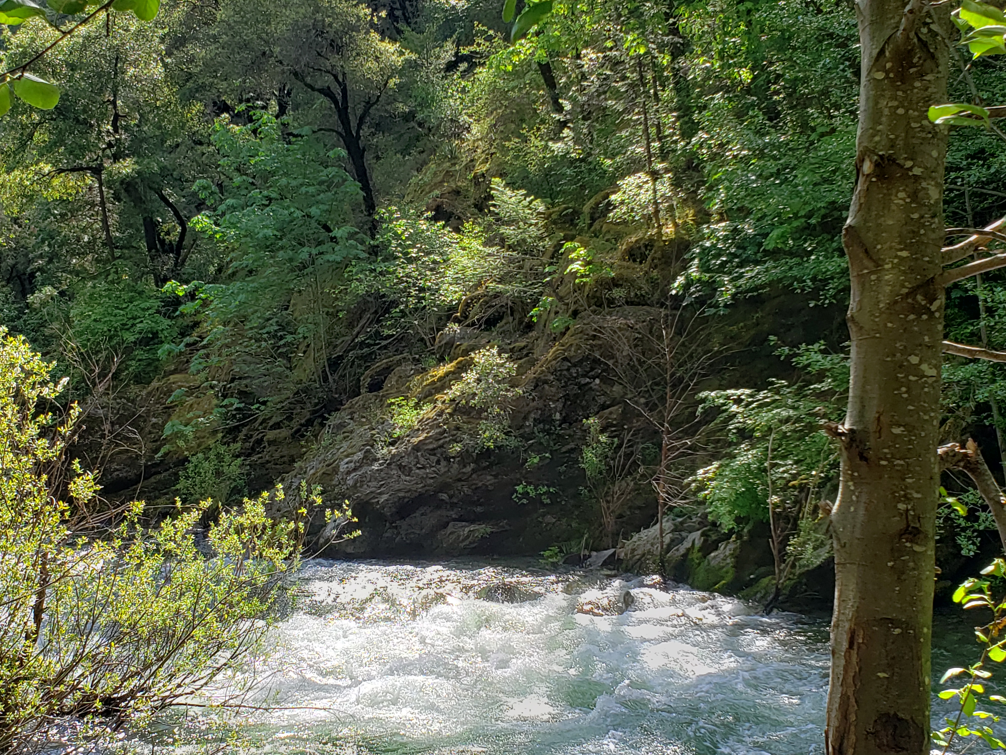 Member content 1 of 4