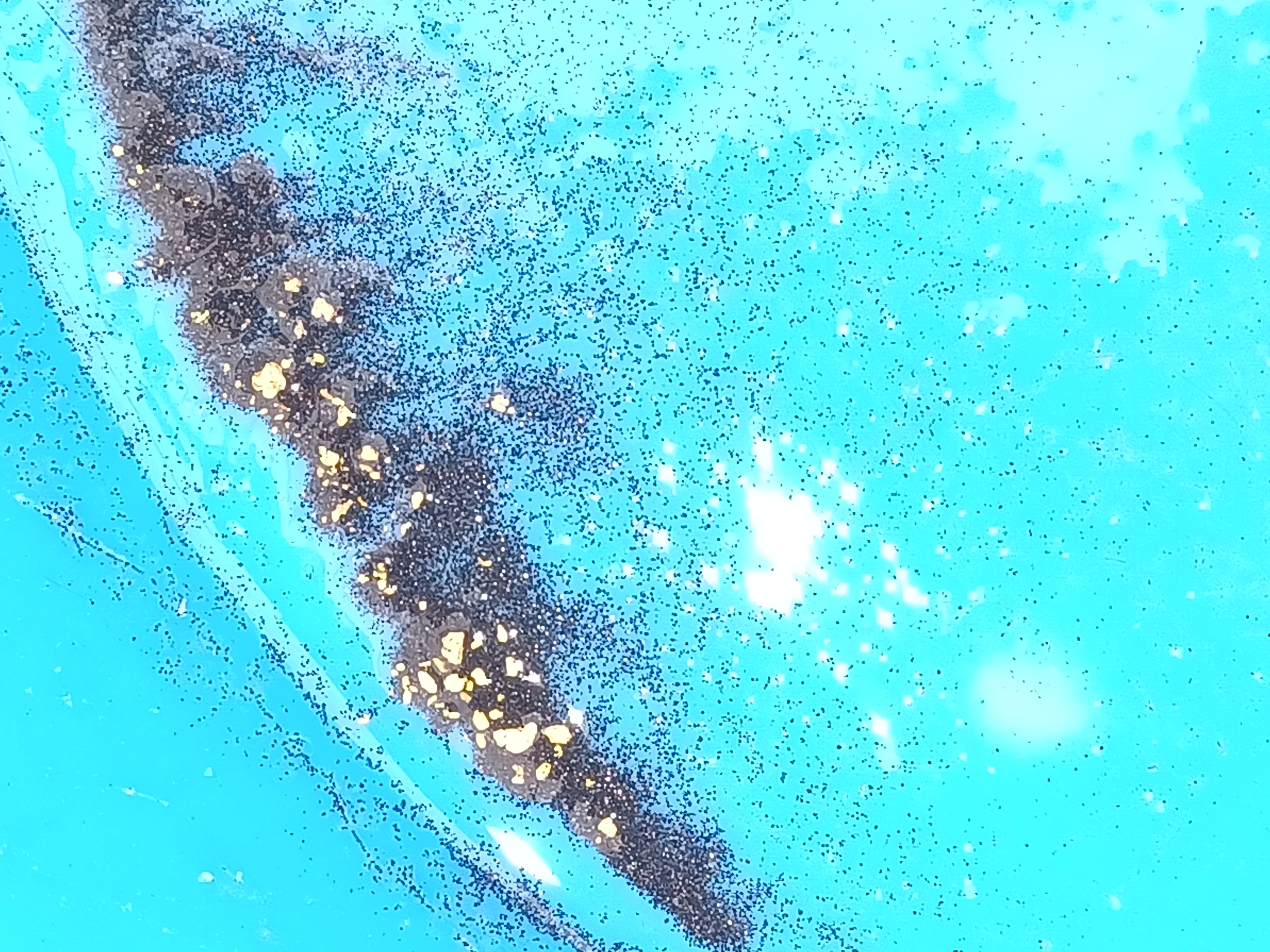 Member content 13 of 29