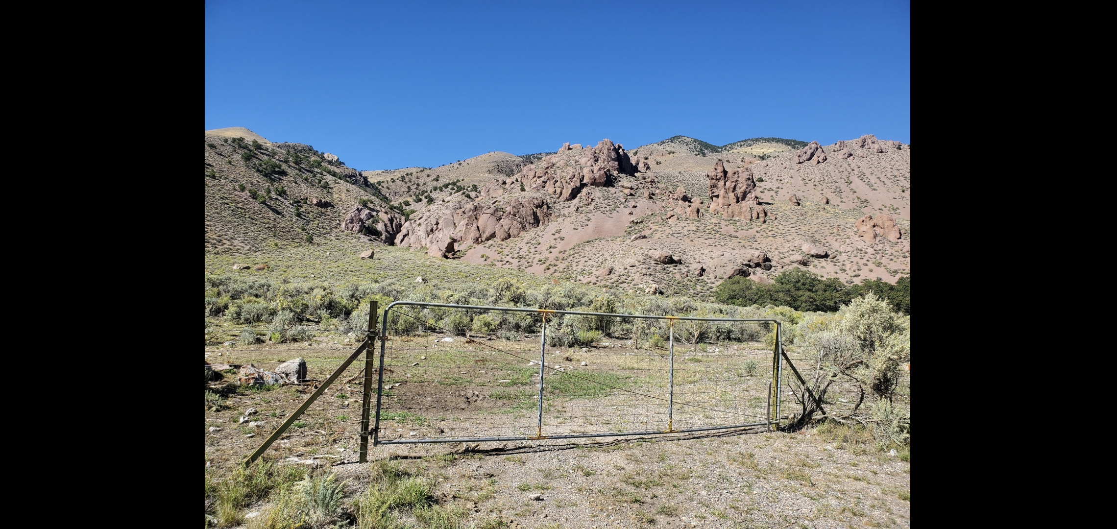 Member content 1 of 2