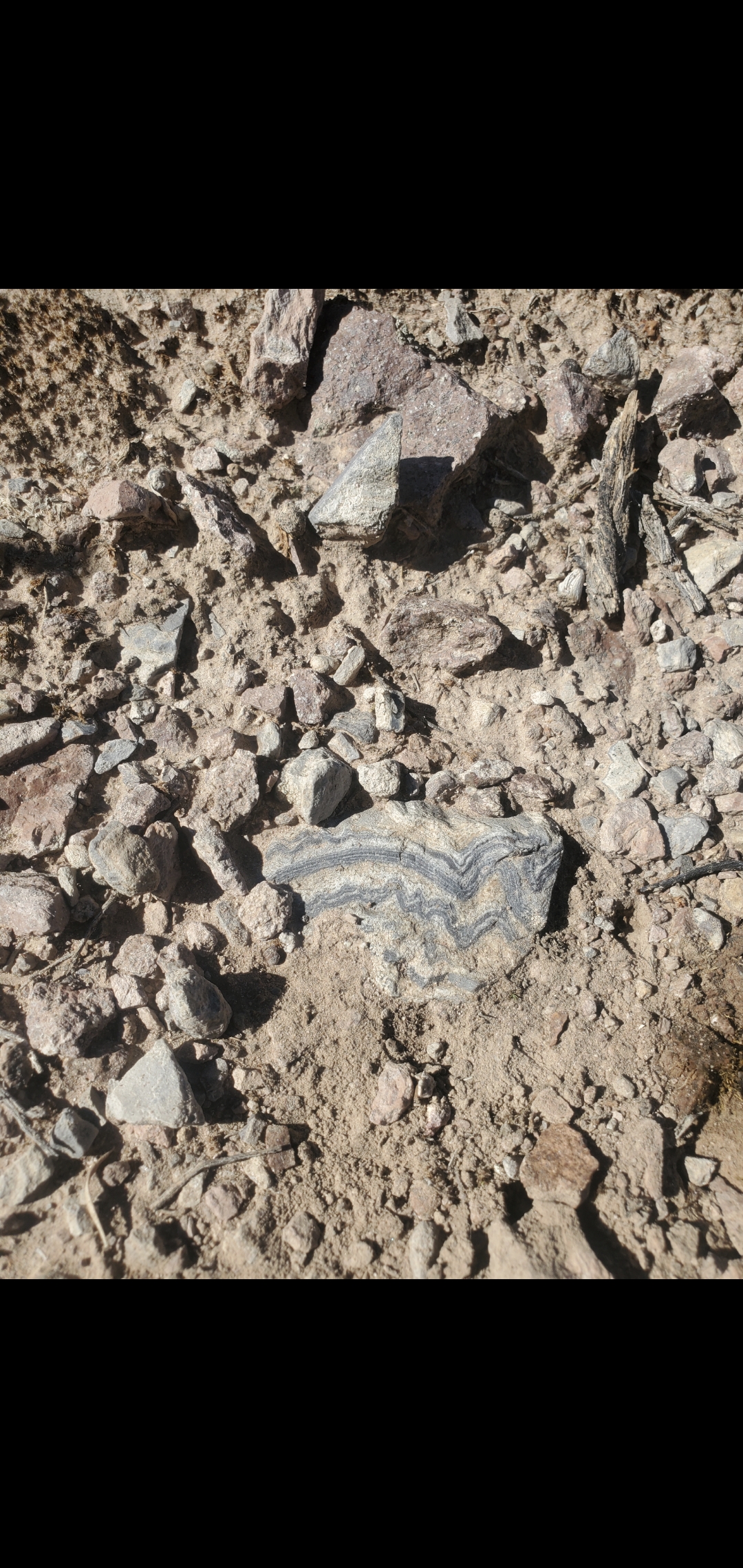 Member content 2 of 2