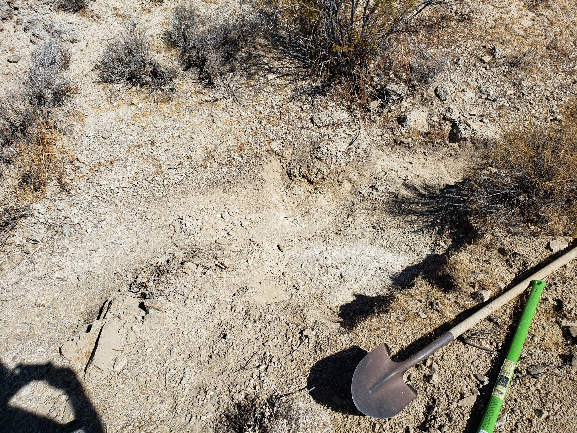 Member content 9 of 14